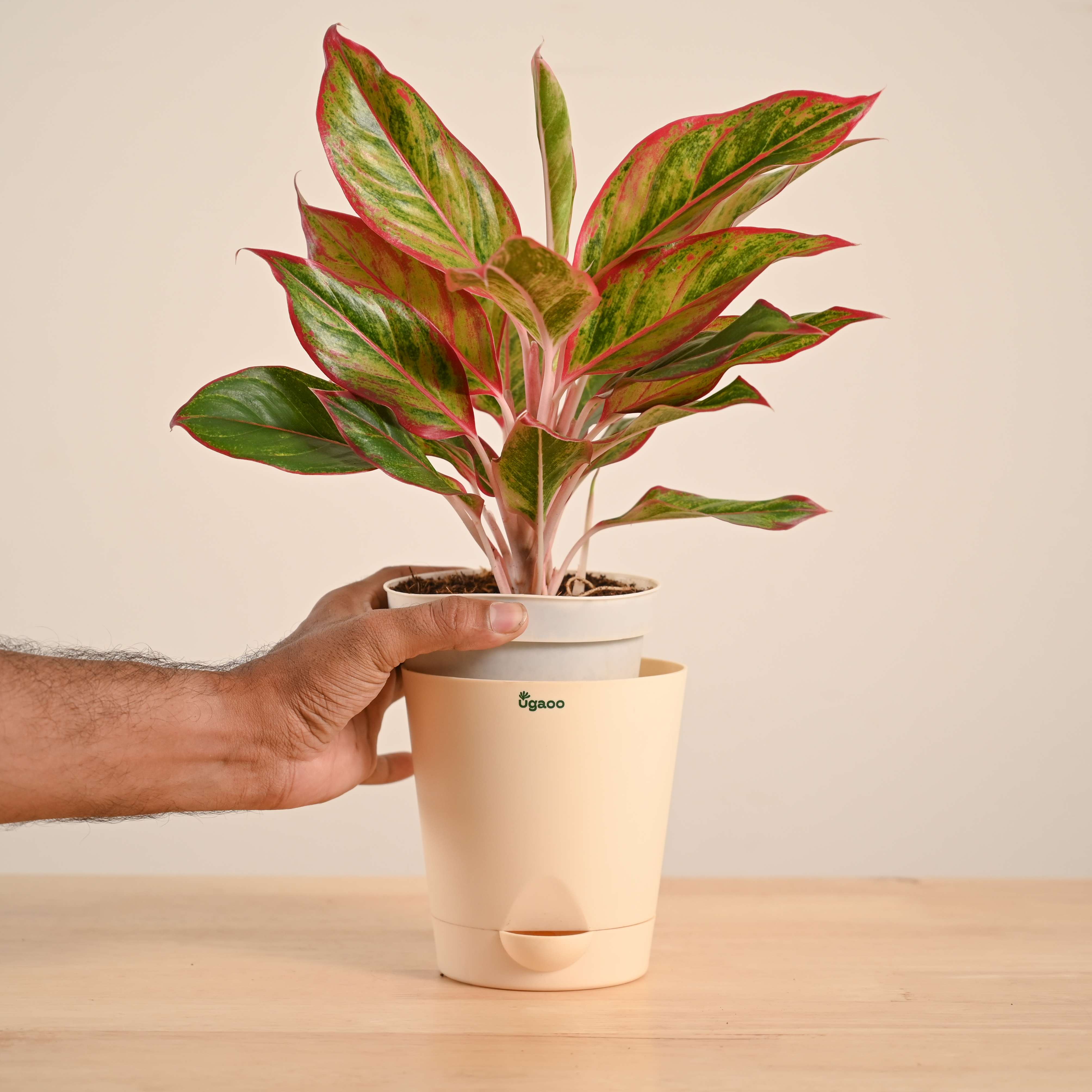 Product image 58