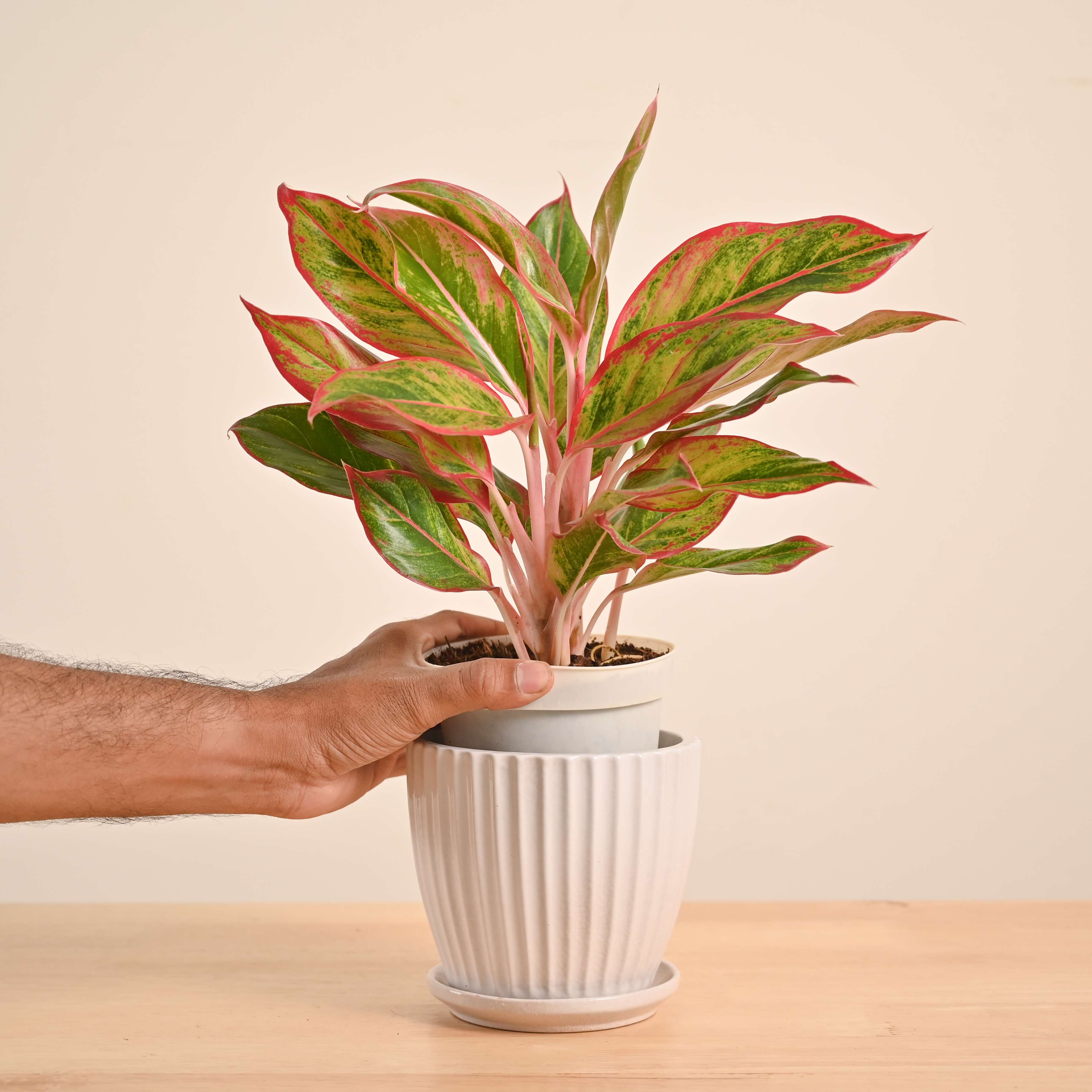 Product image 74