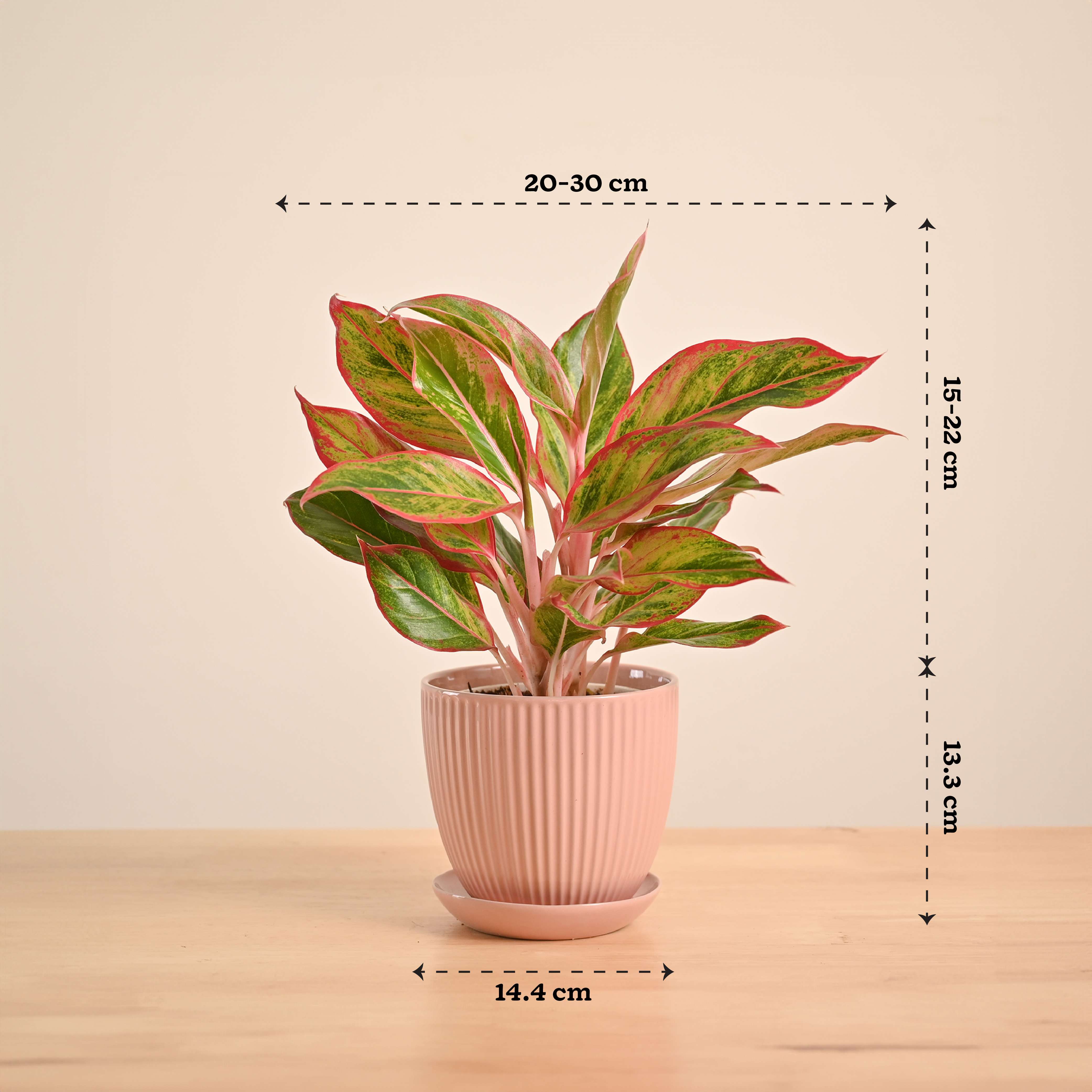 Product image 75