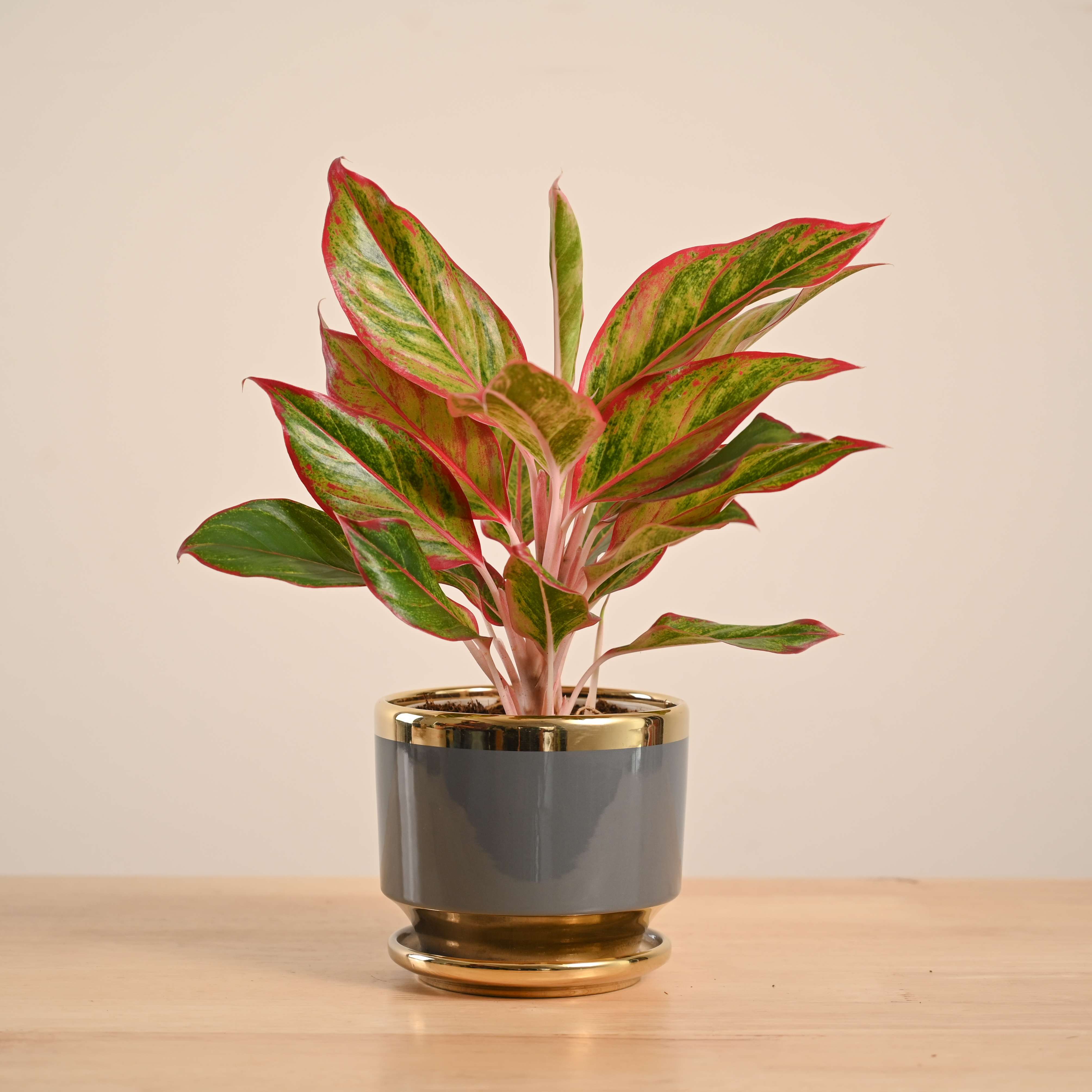 Product image 83