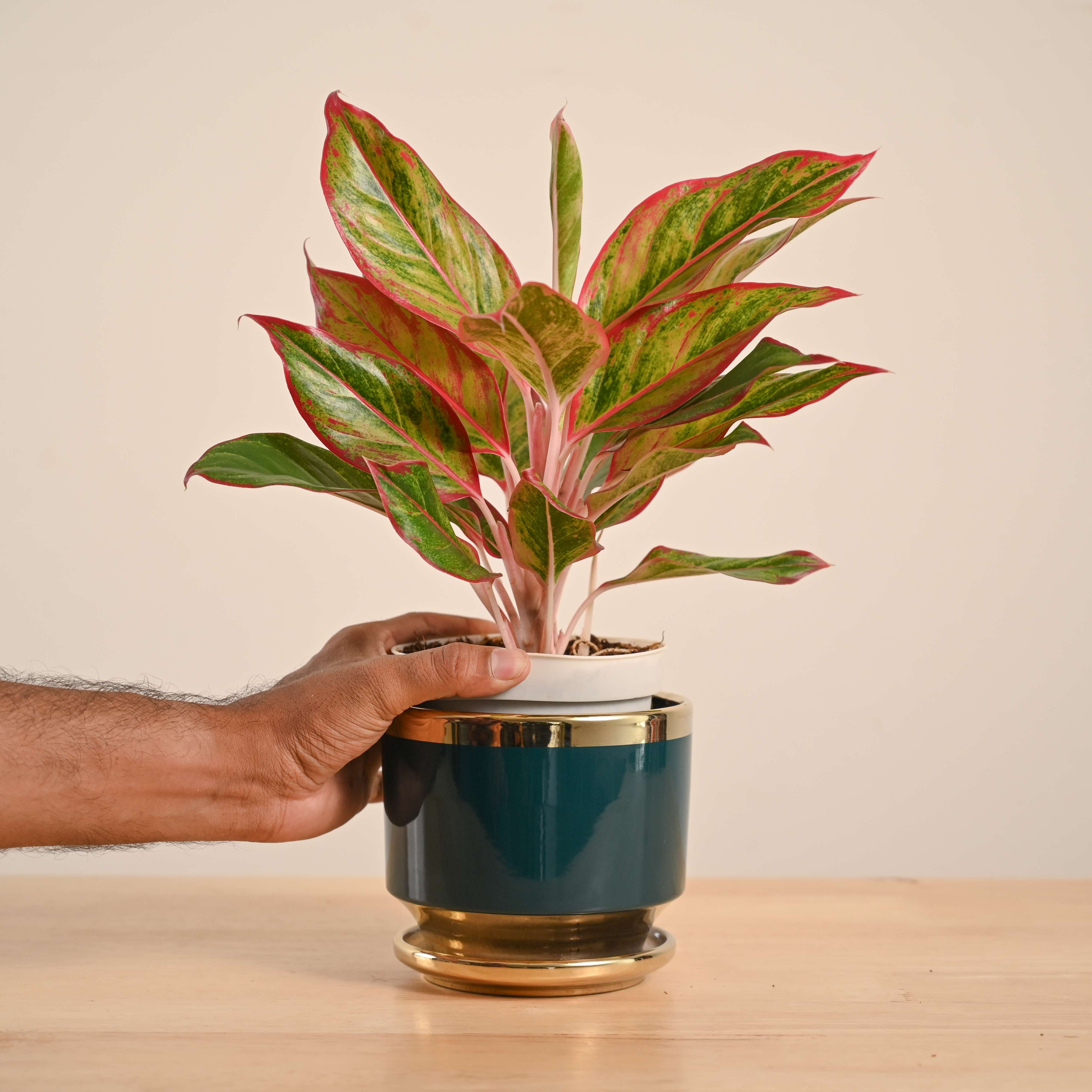 Product image 85