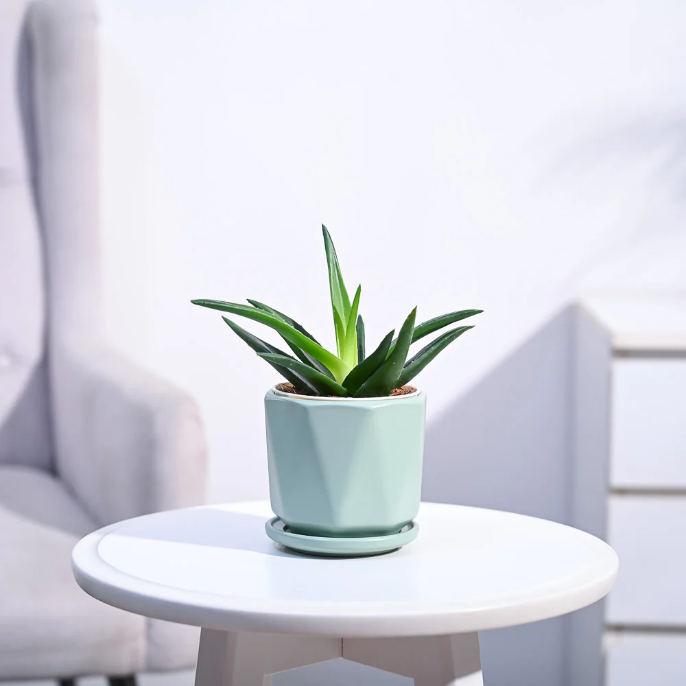Product image 131