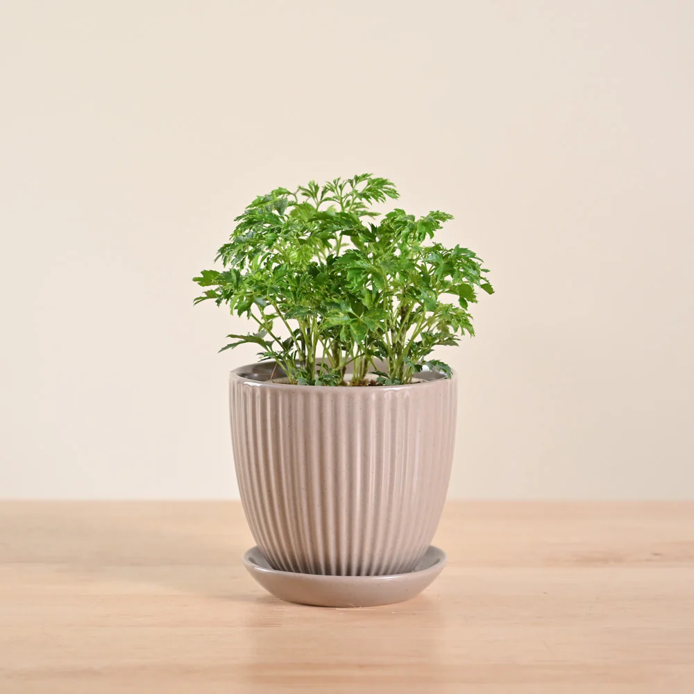 Product image 104