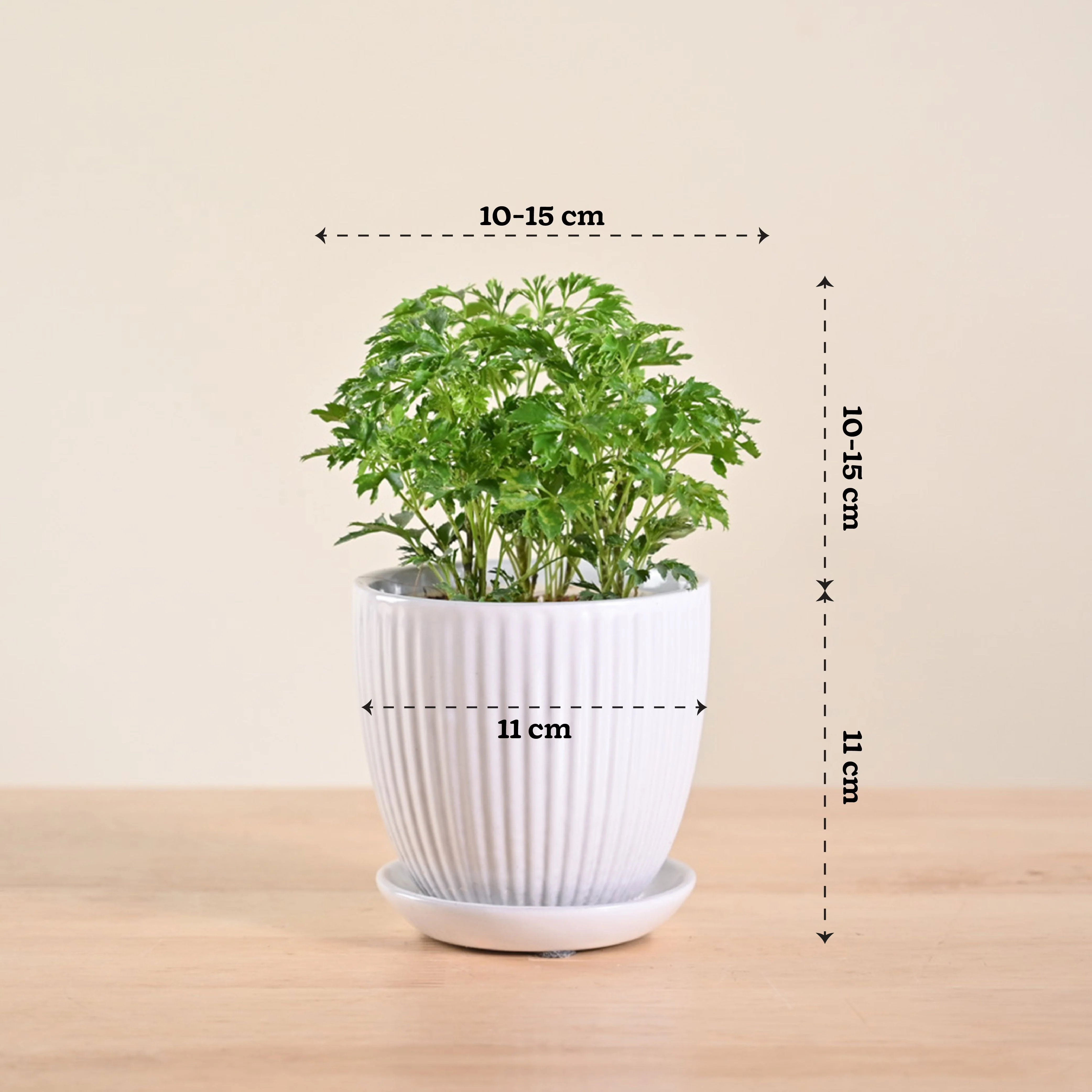 Product image 111