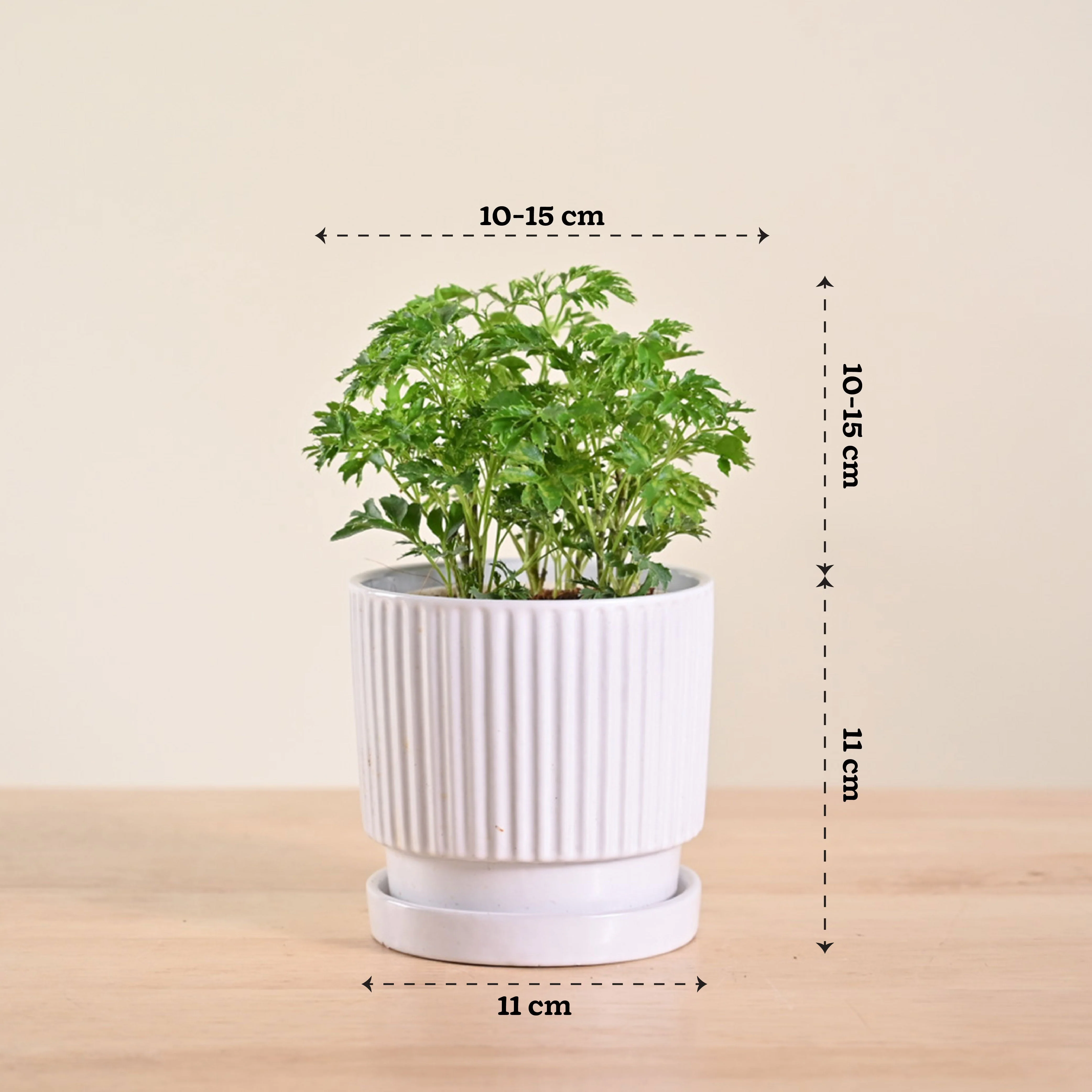 Product image 117