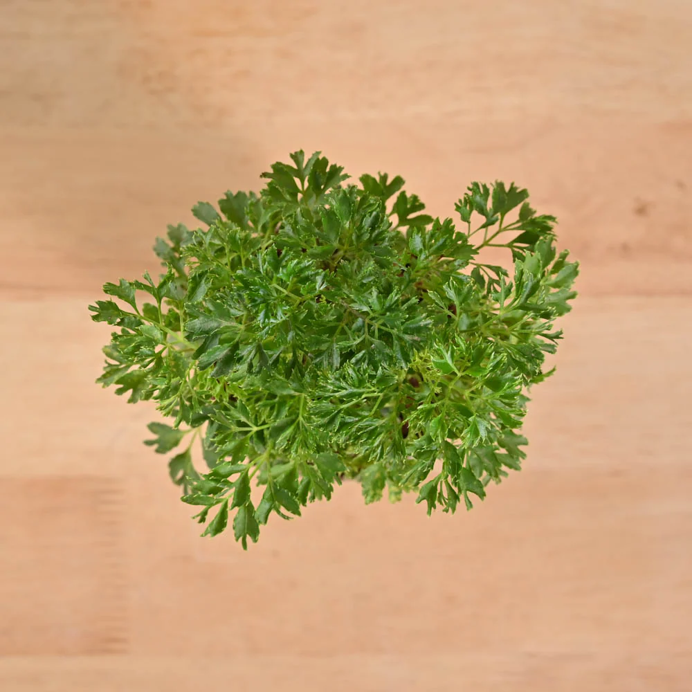 Product image 130