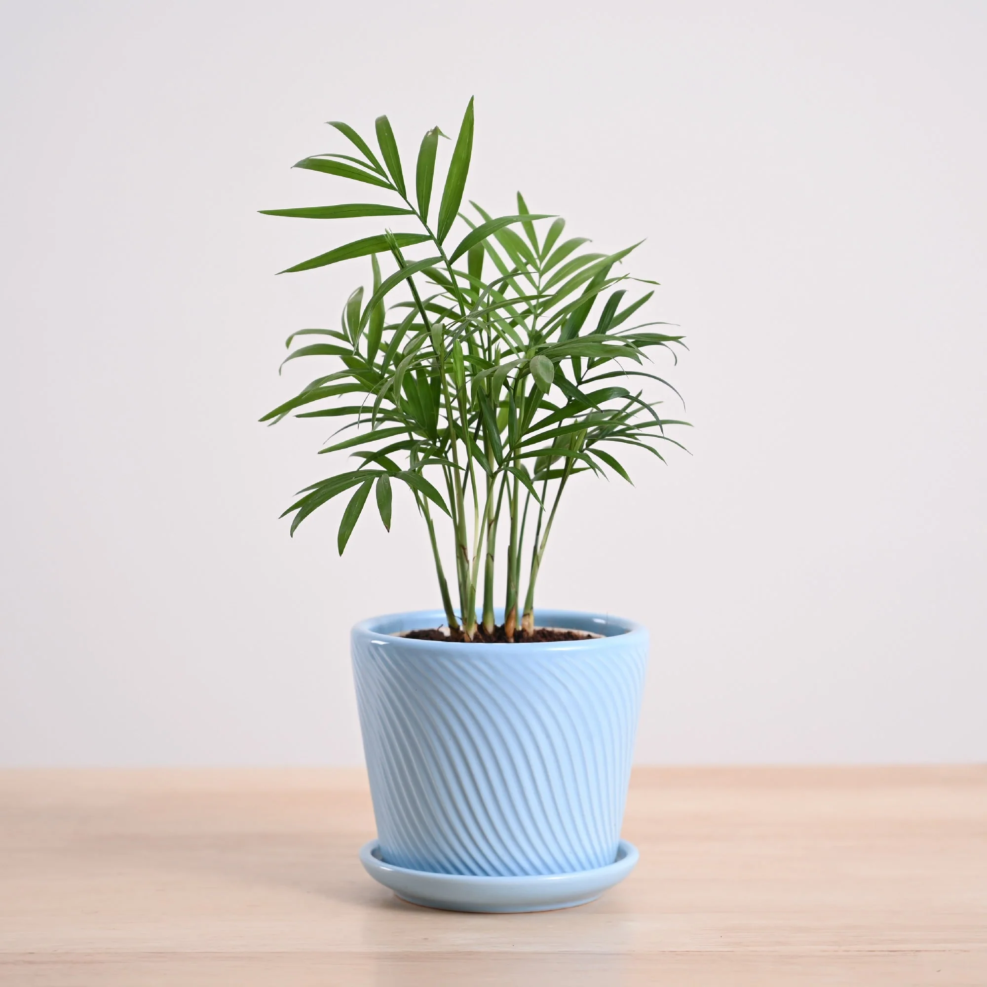 Product image 108