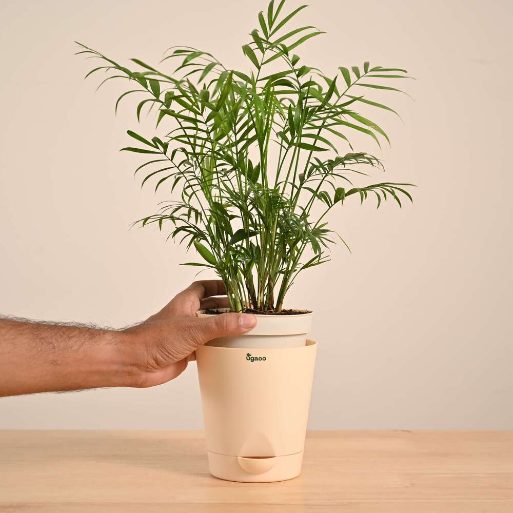 Product image 131