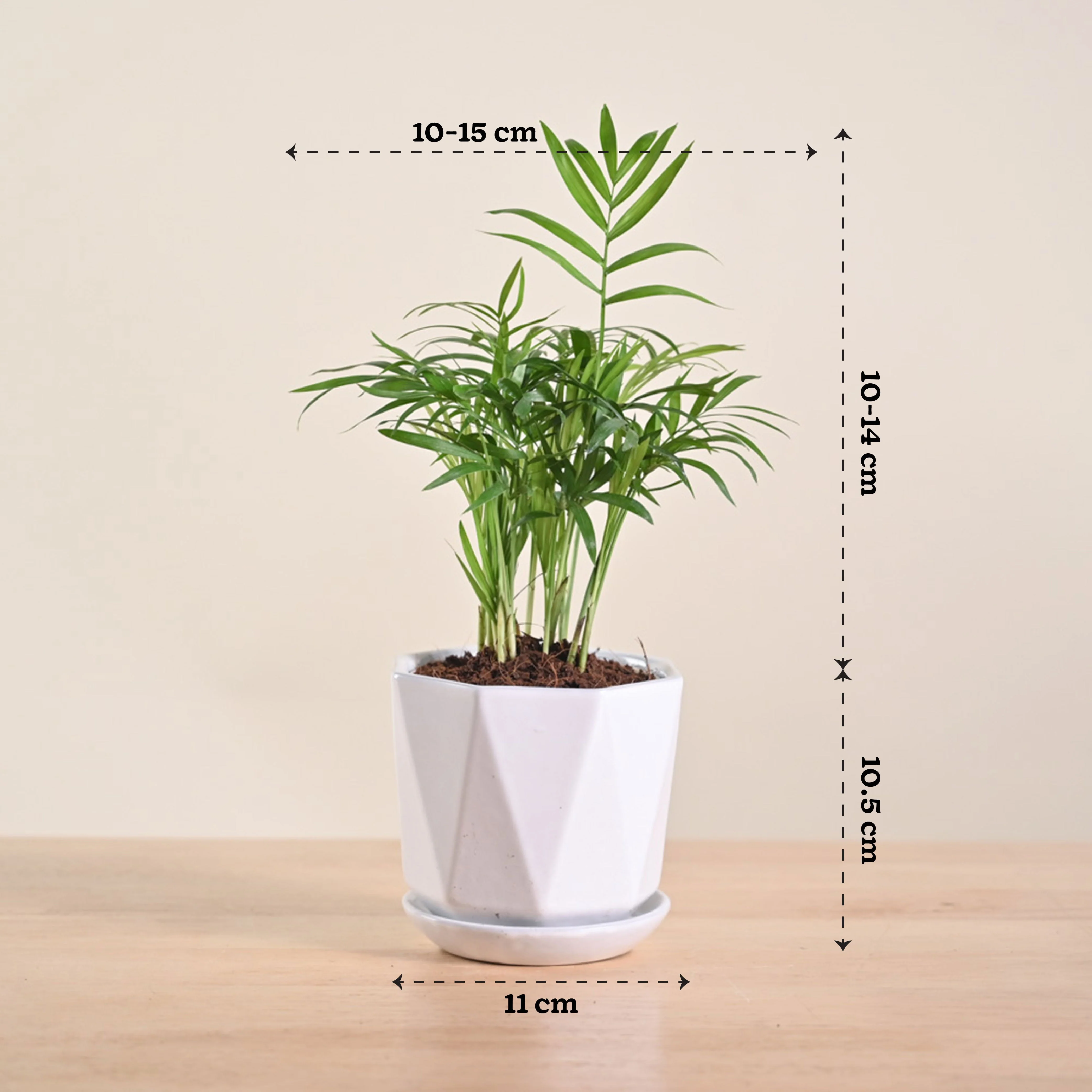 Product image 167