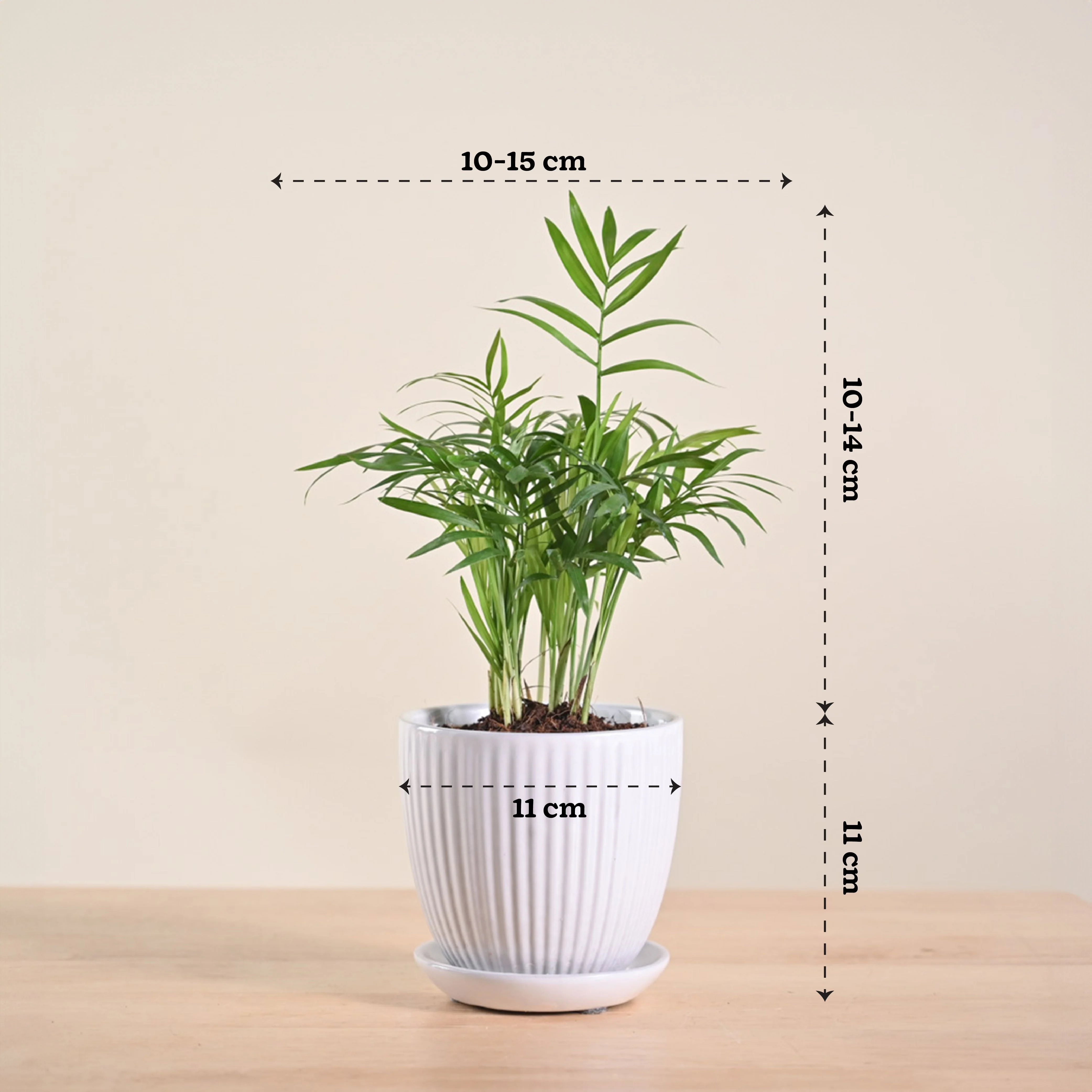 Product image 179