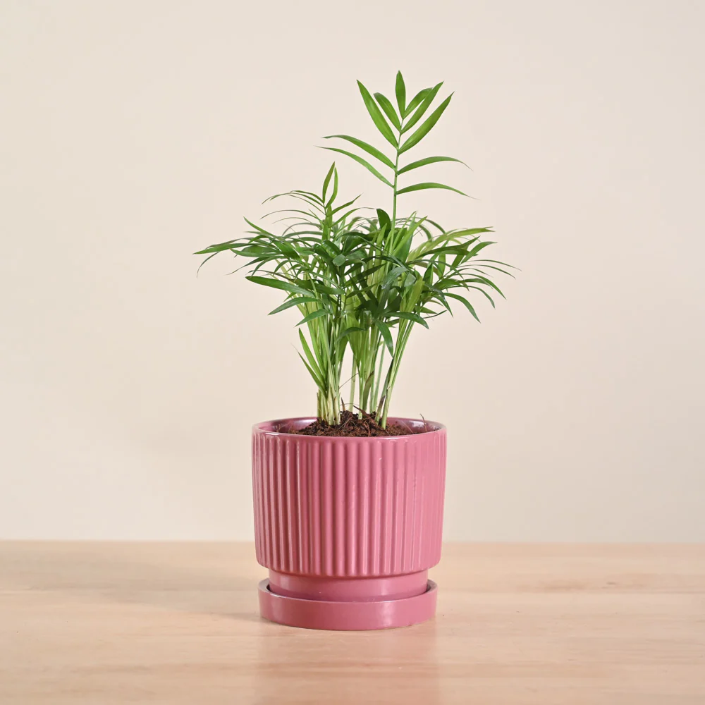 Product image 196