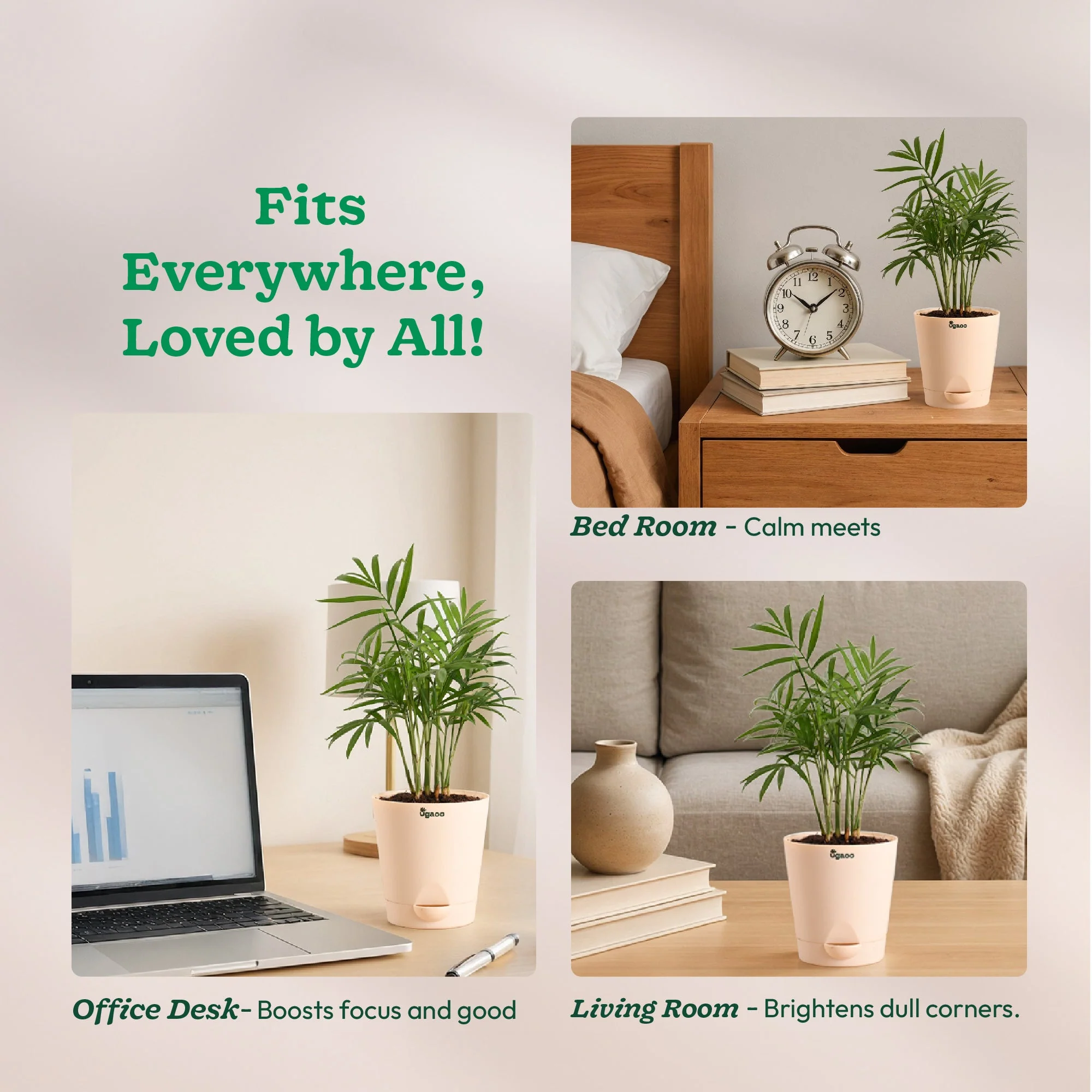 Product image 210