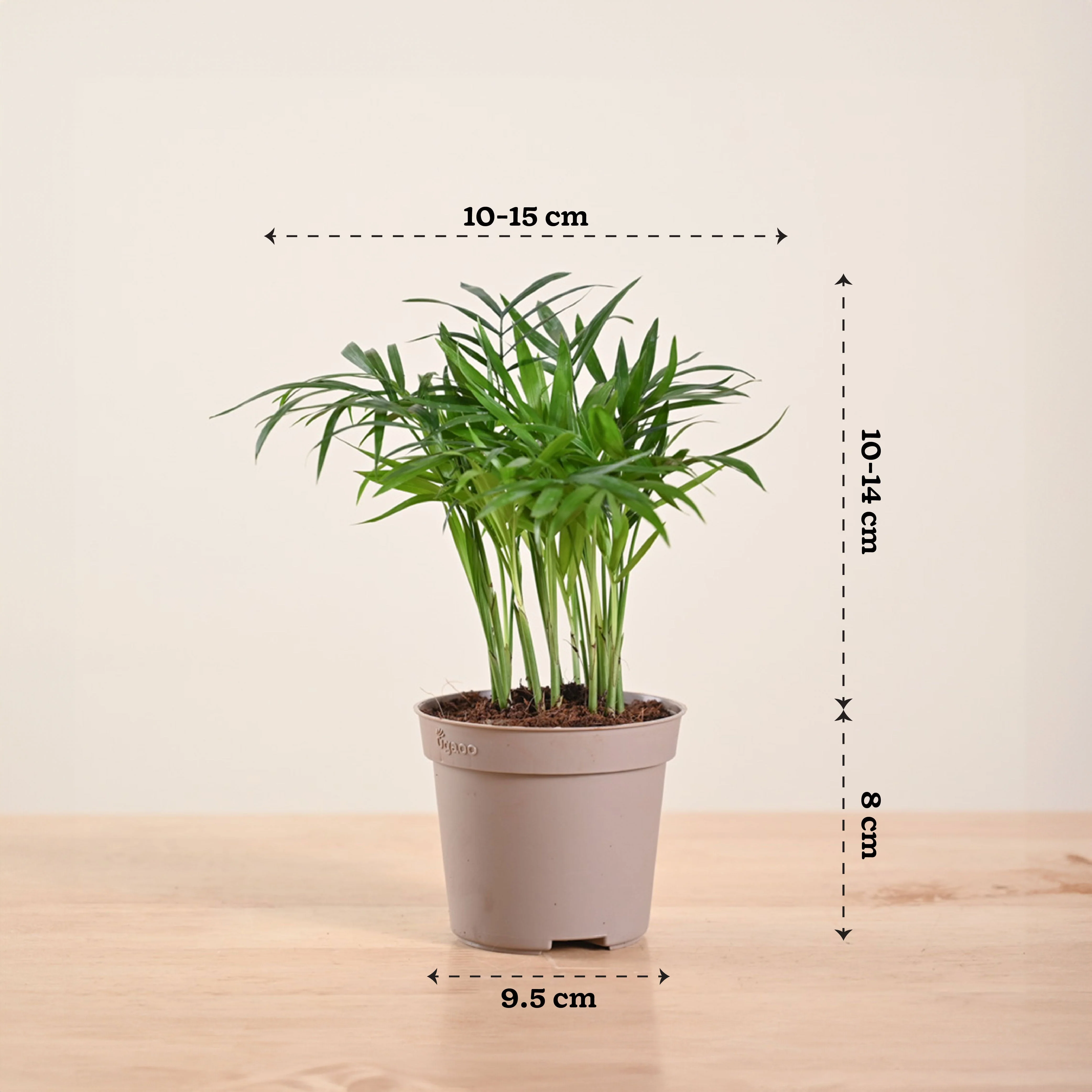 Product image 224
