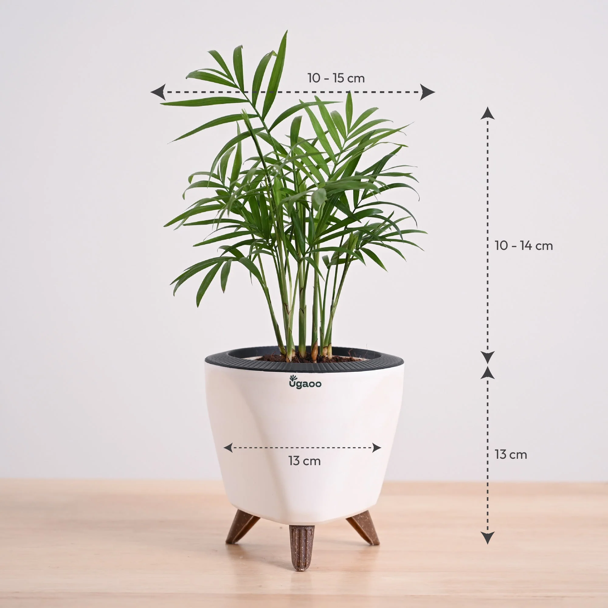 Product image 53