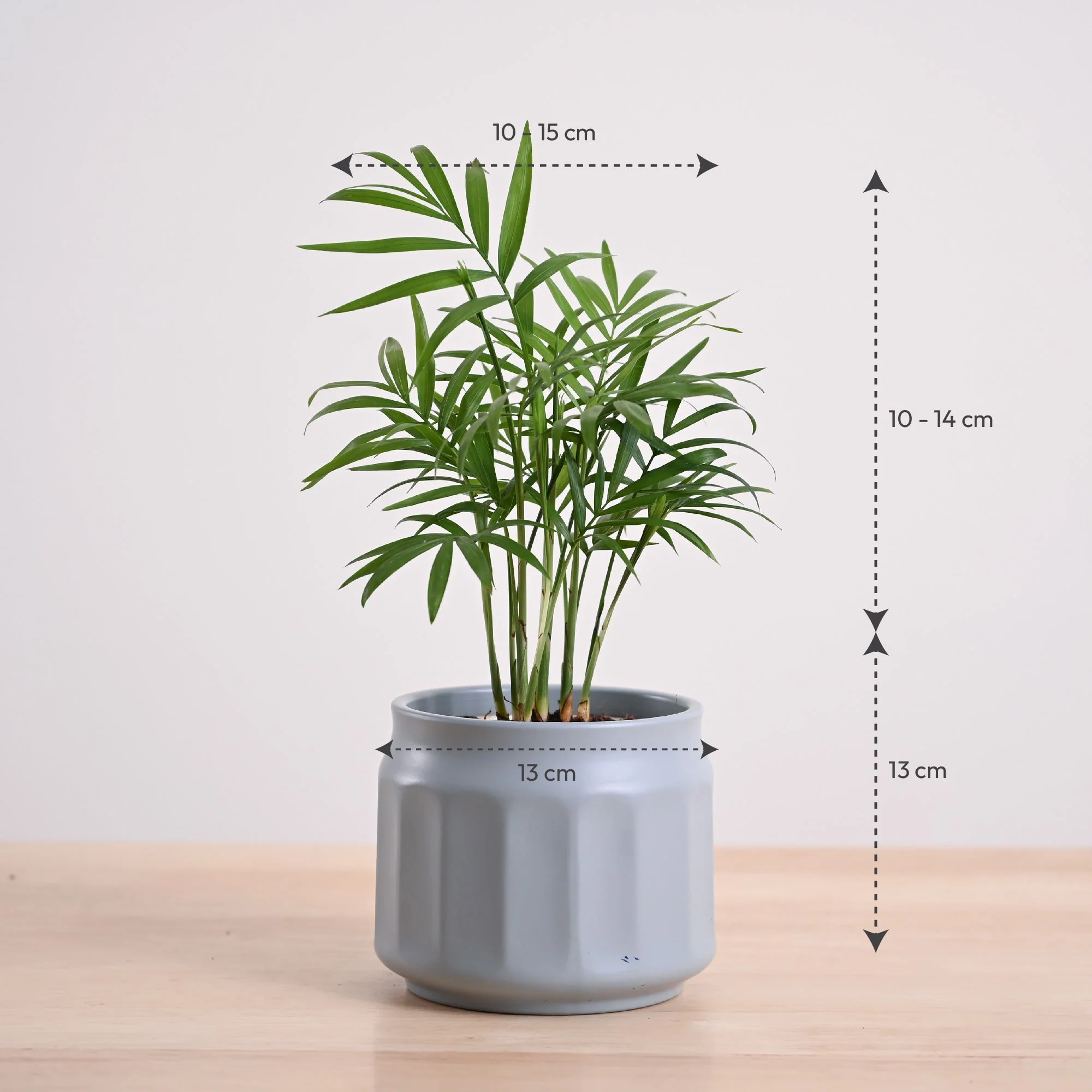 Product image 77