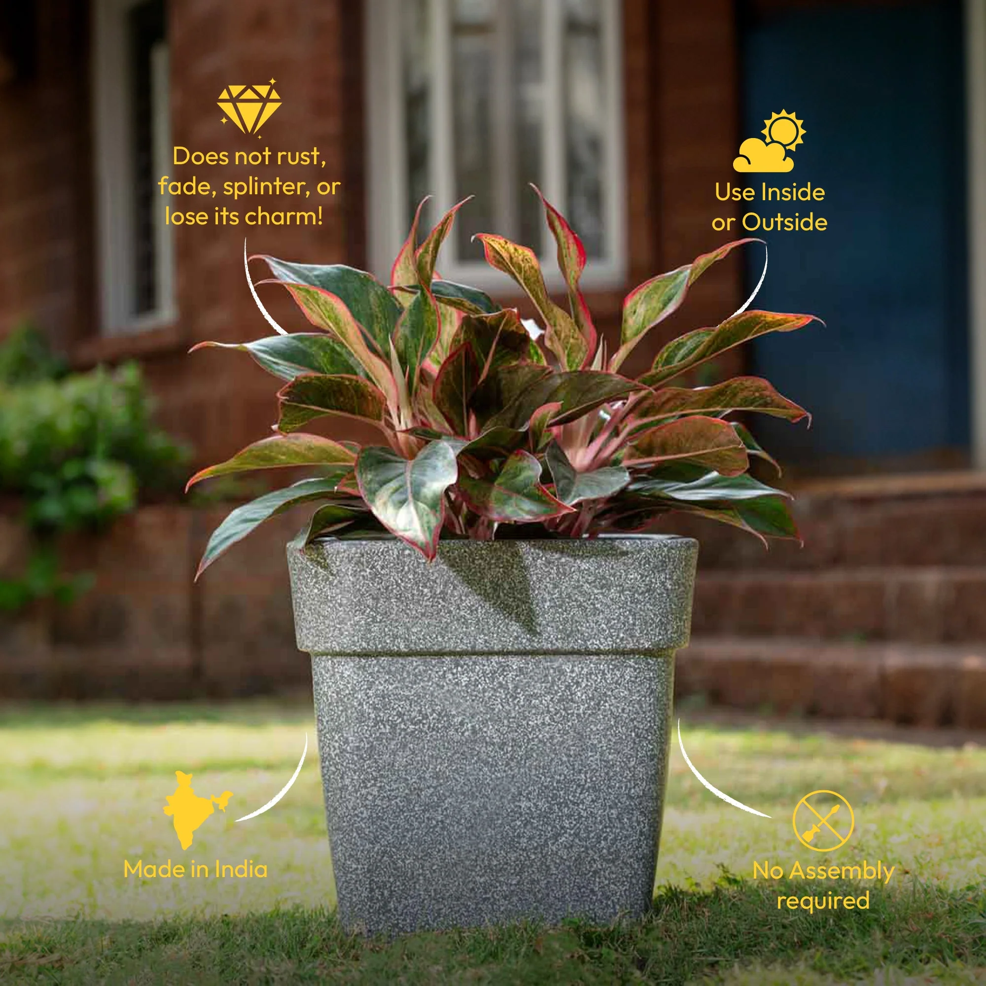 Product image 55