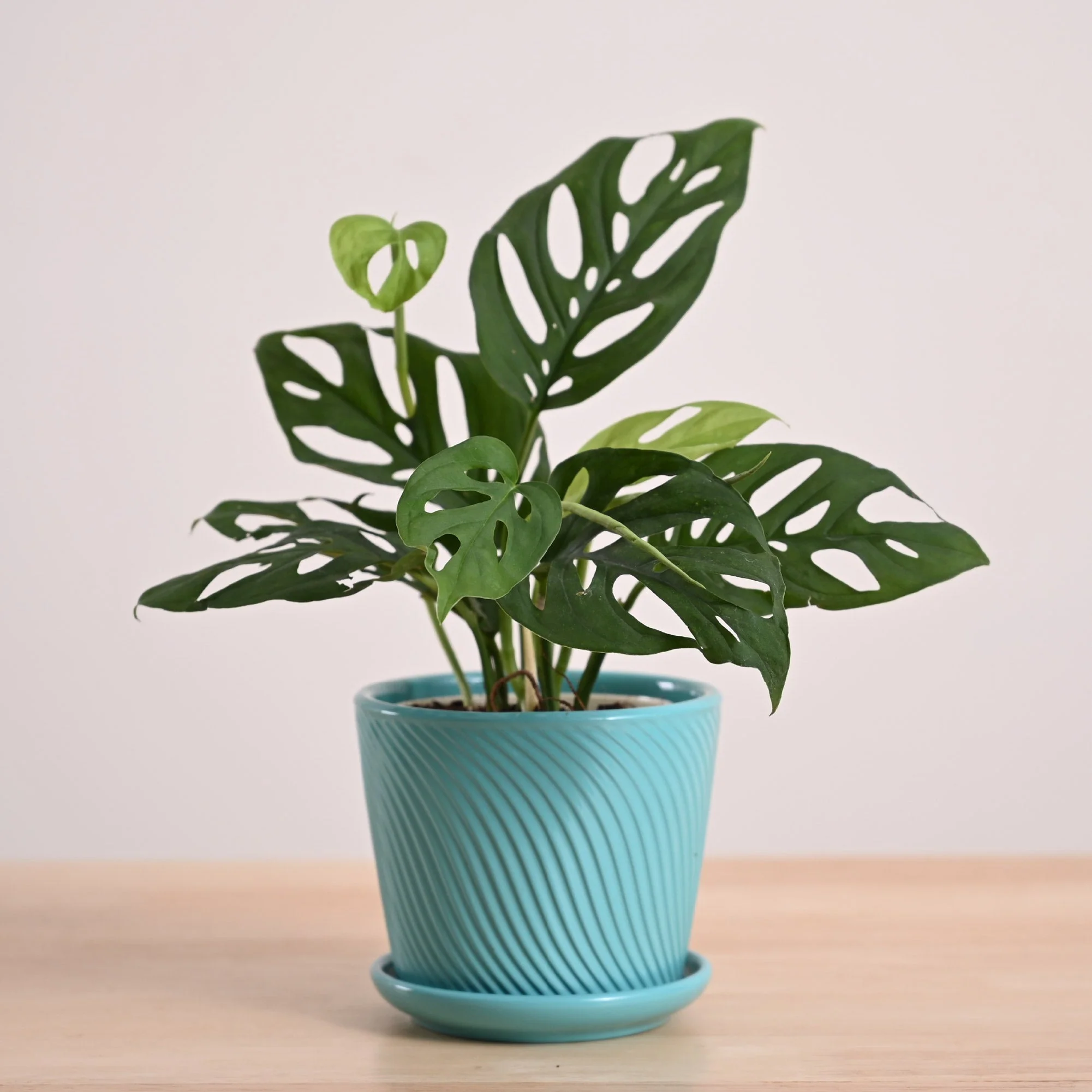 Product image 109