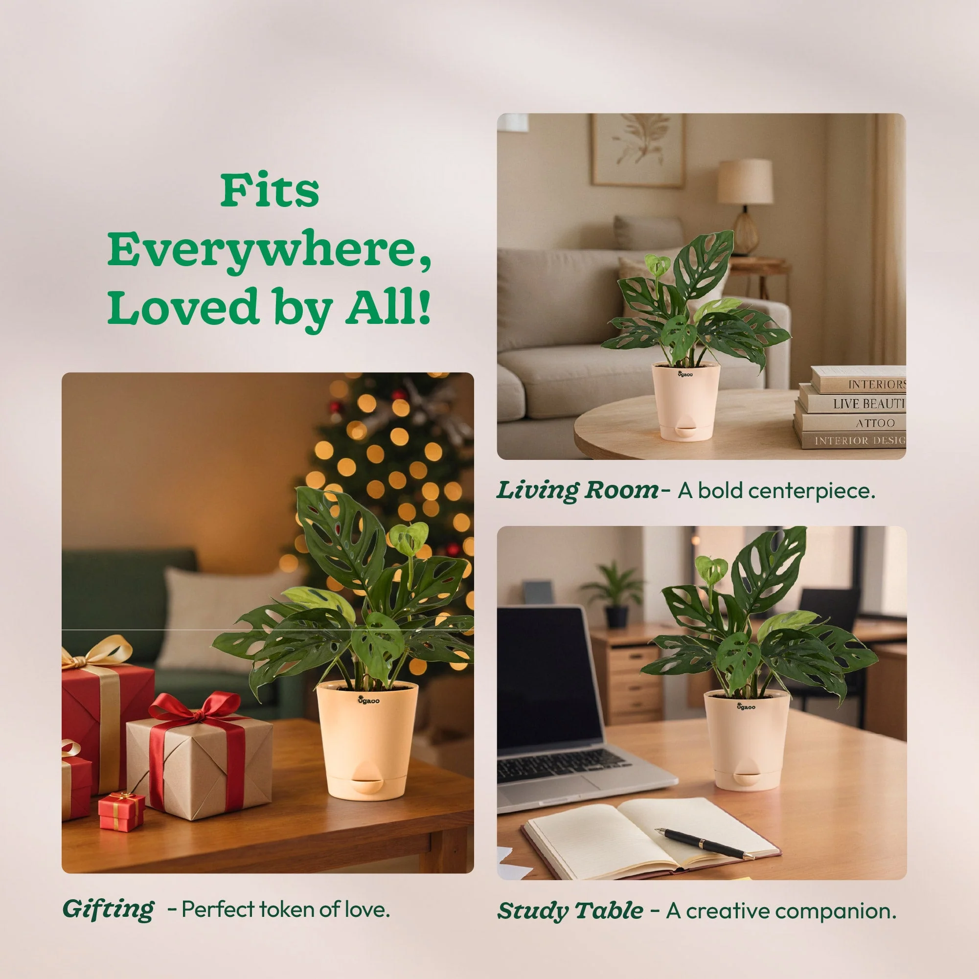 Product image 119
