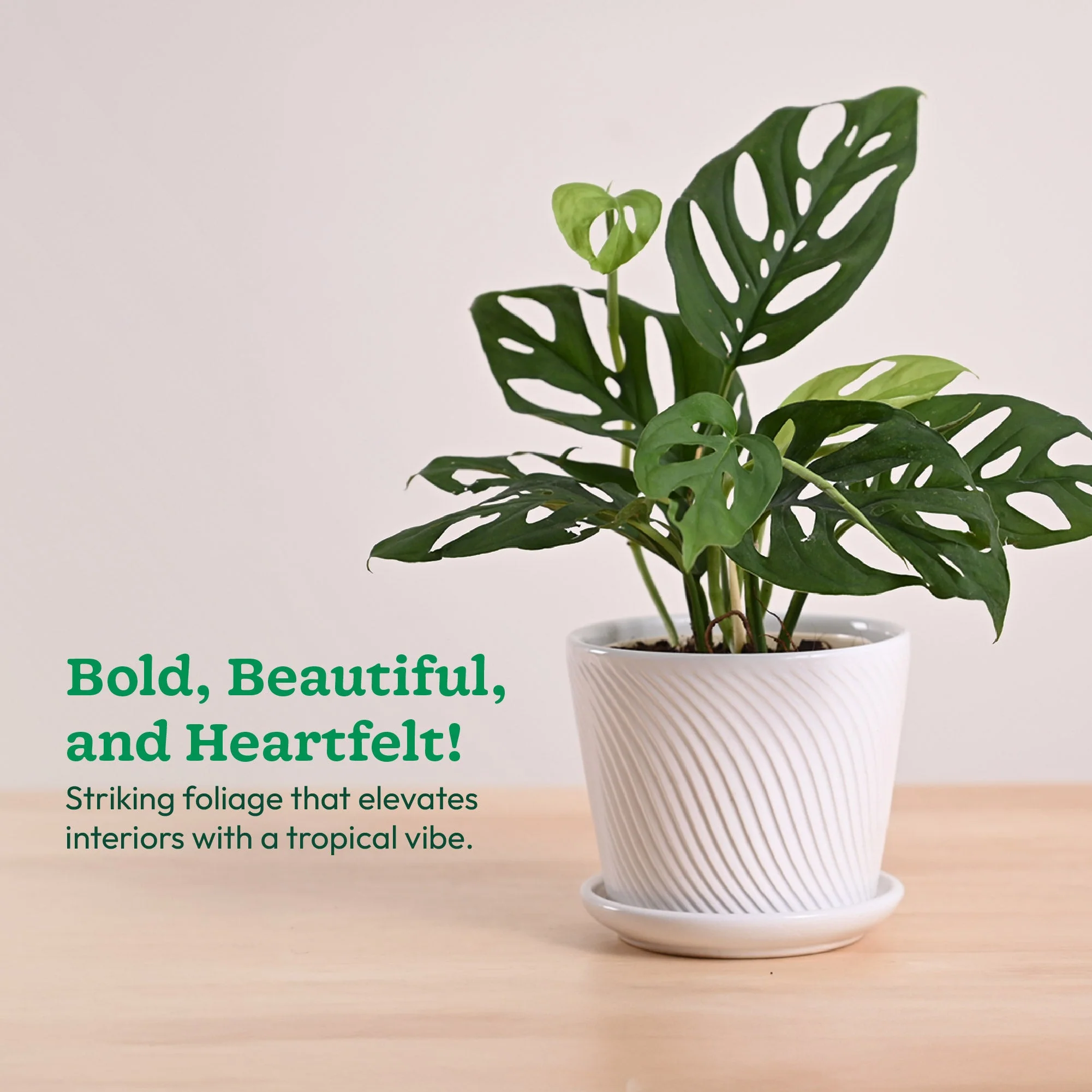 Product image 122