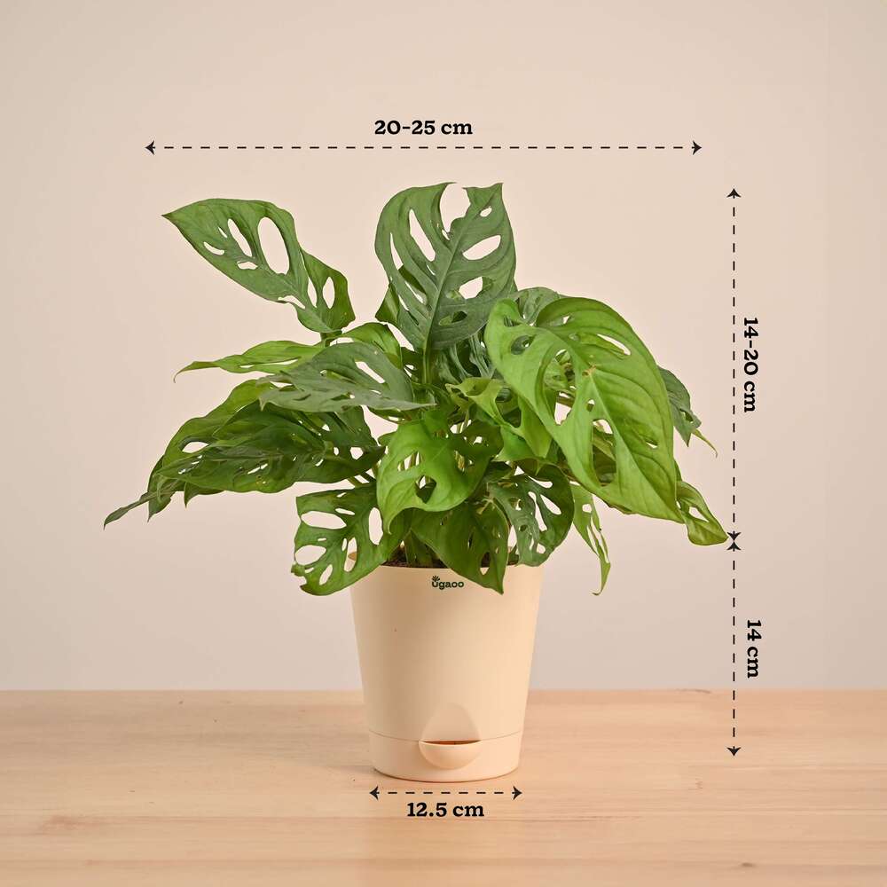 Product image 140