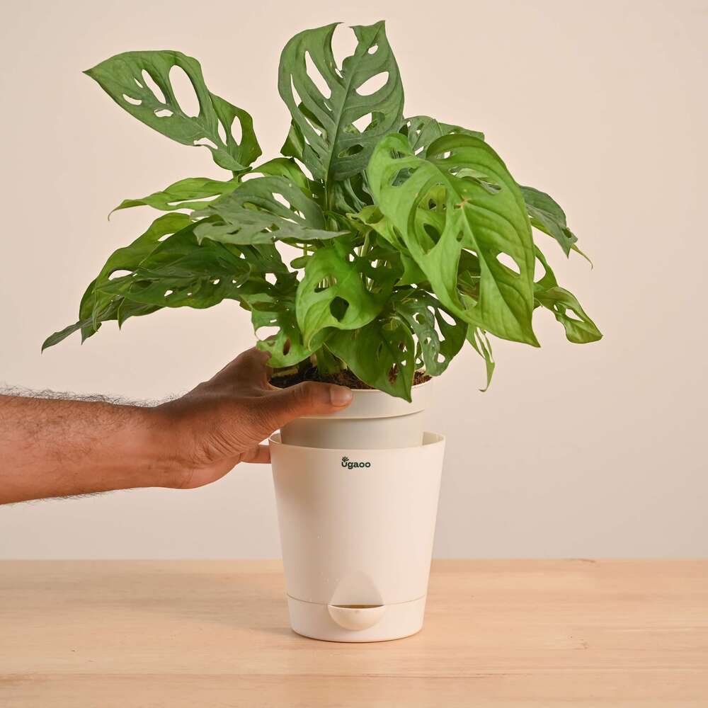 Product image 149