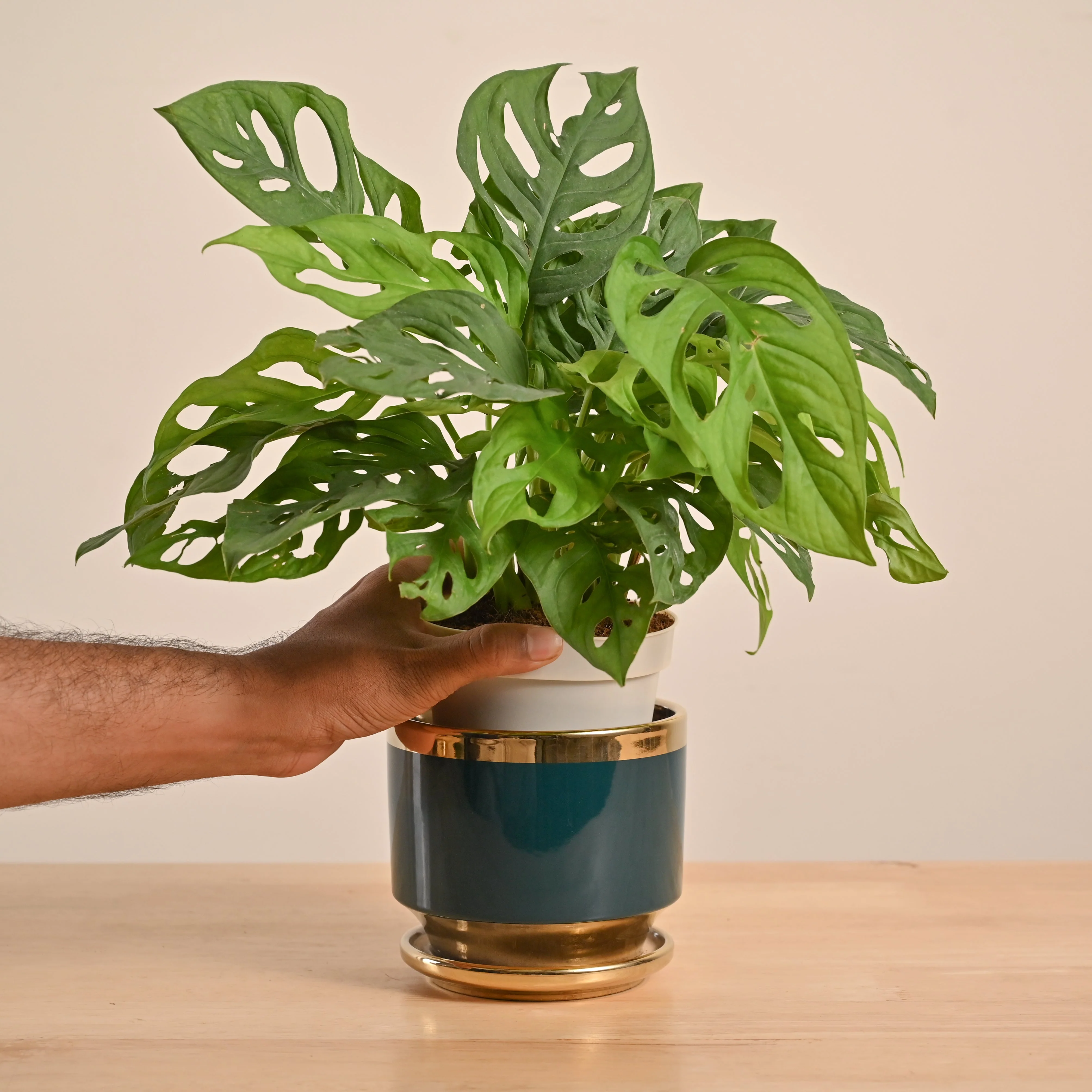 Product image 174