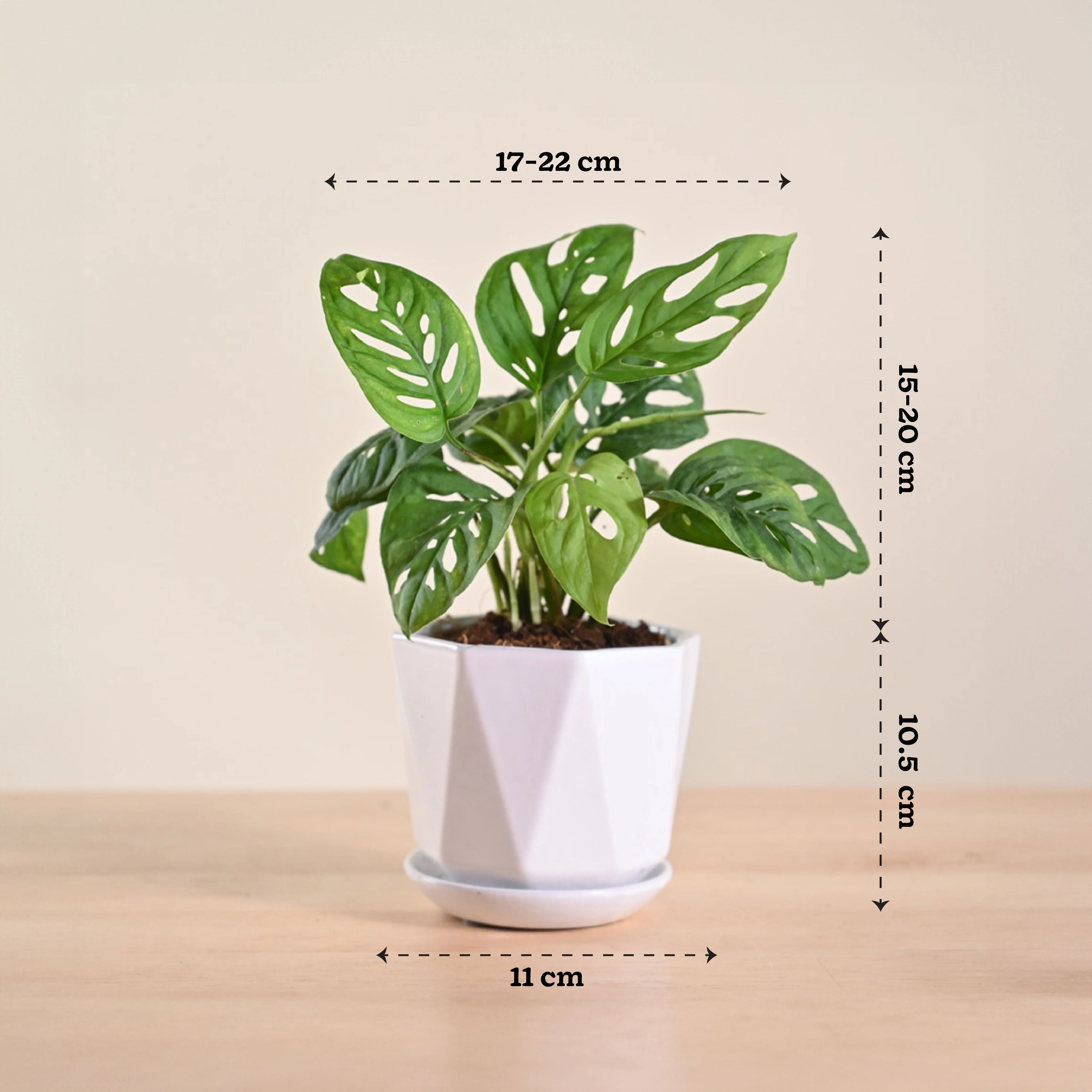 Product image 188