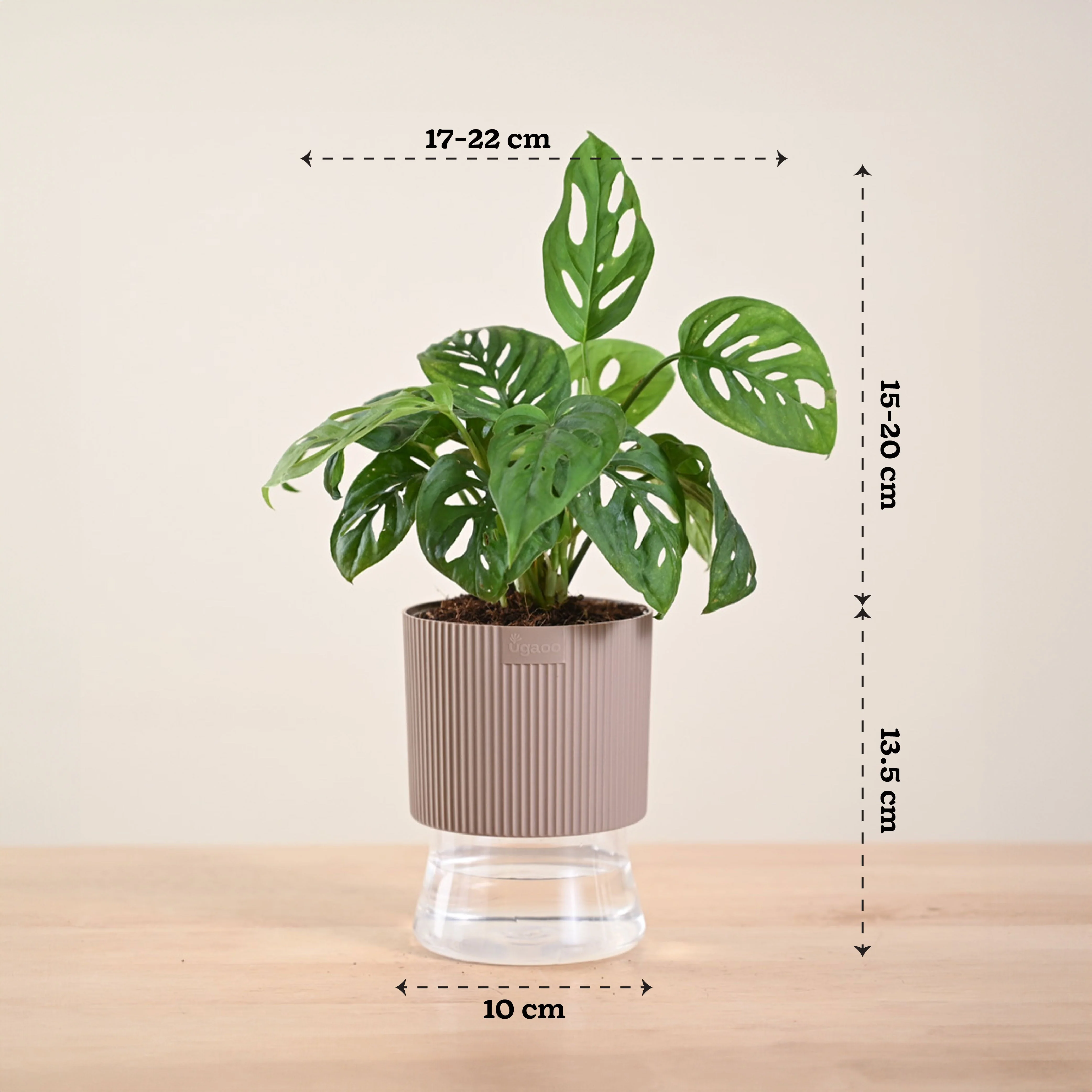 Product image 240