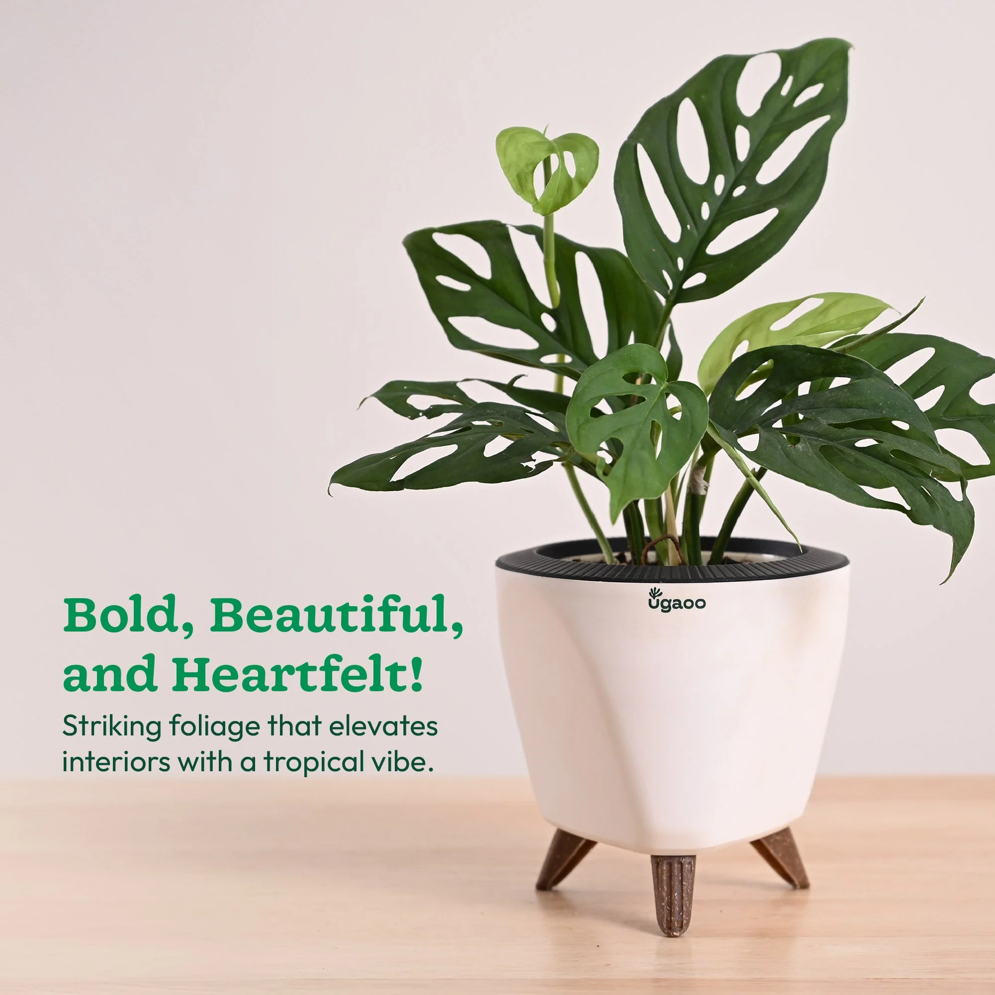 Product image 86