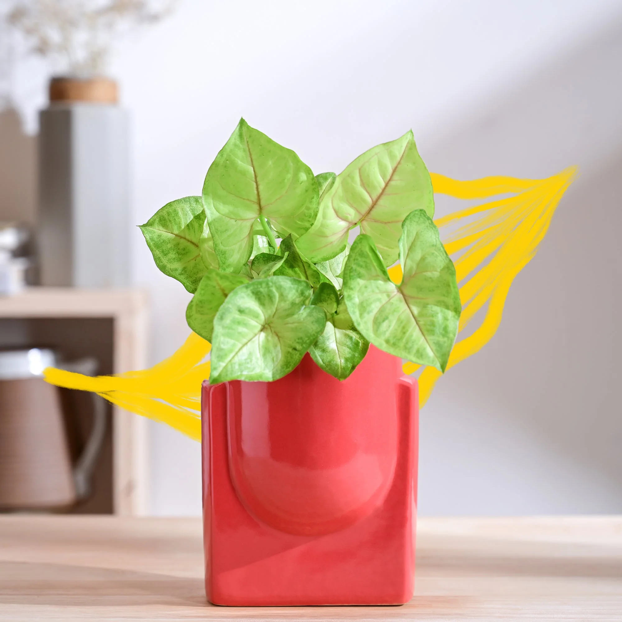 Product image 122