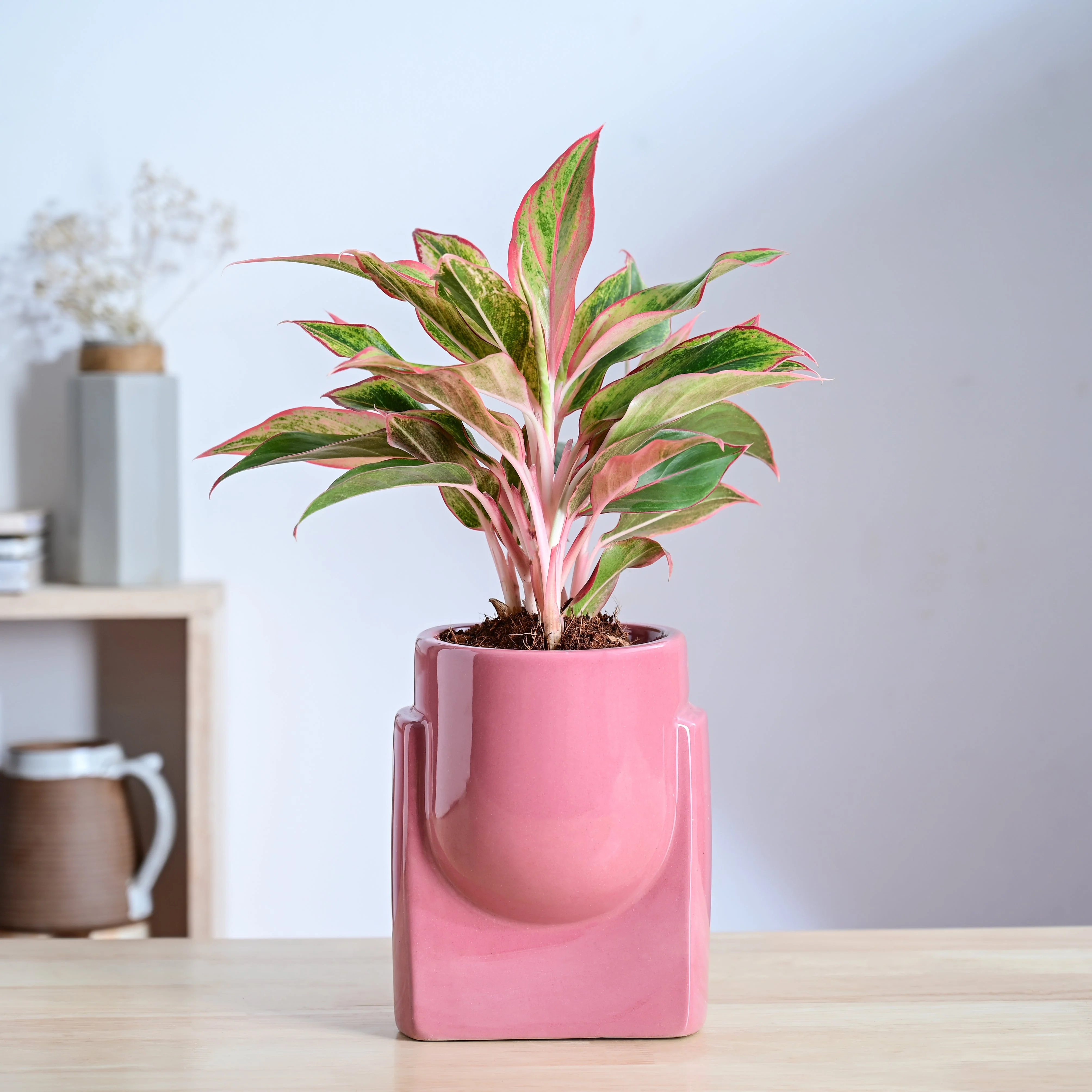 Product image 89