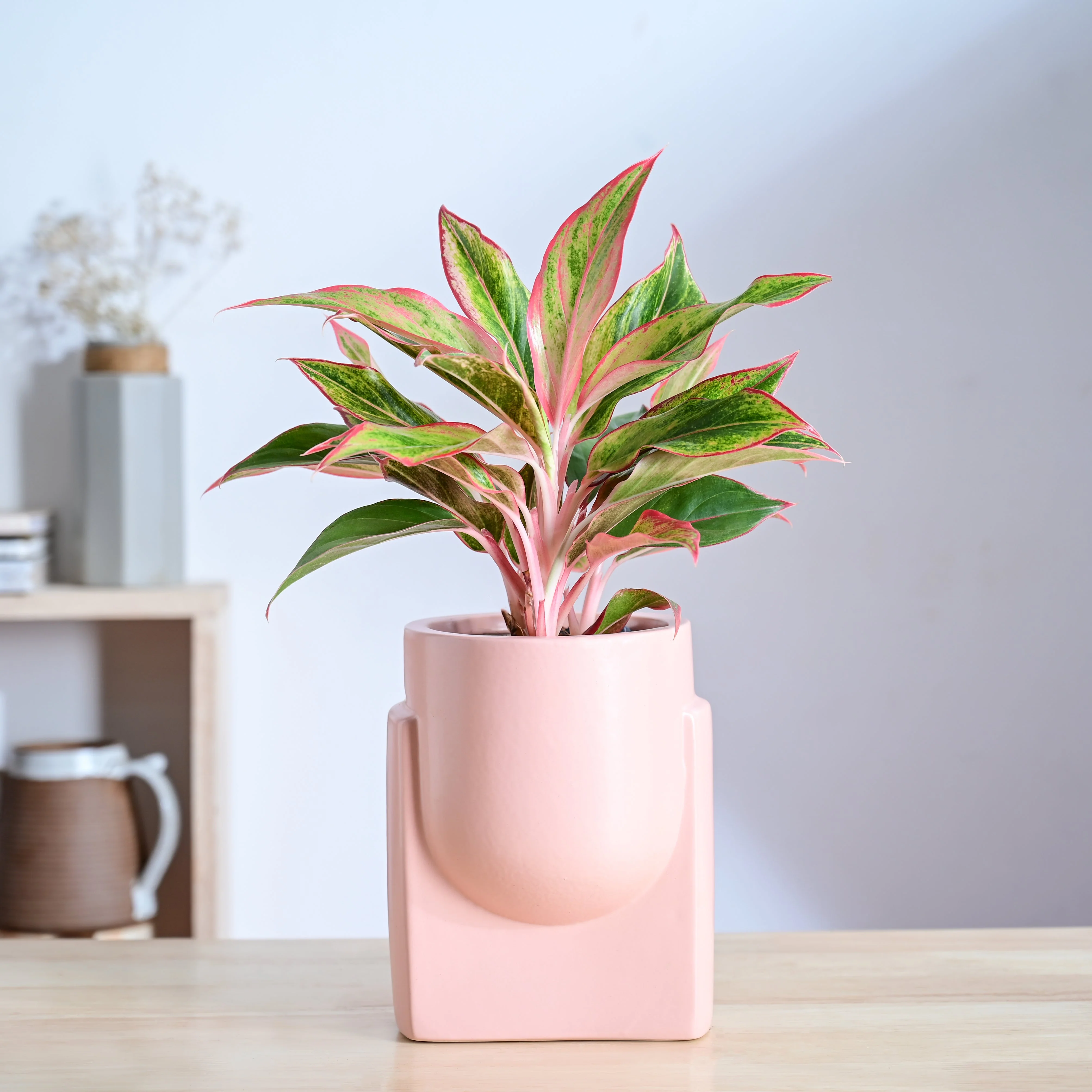 Product image 97