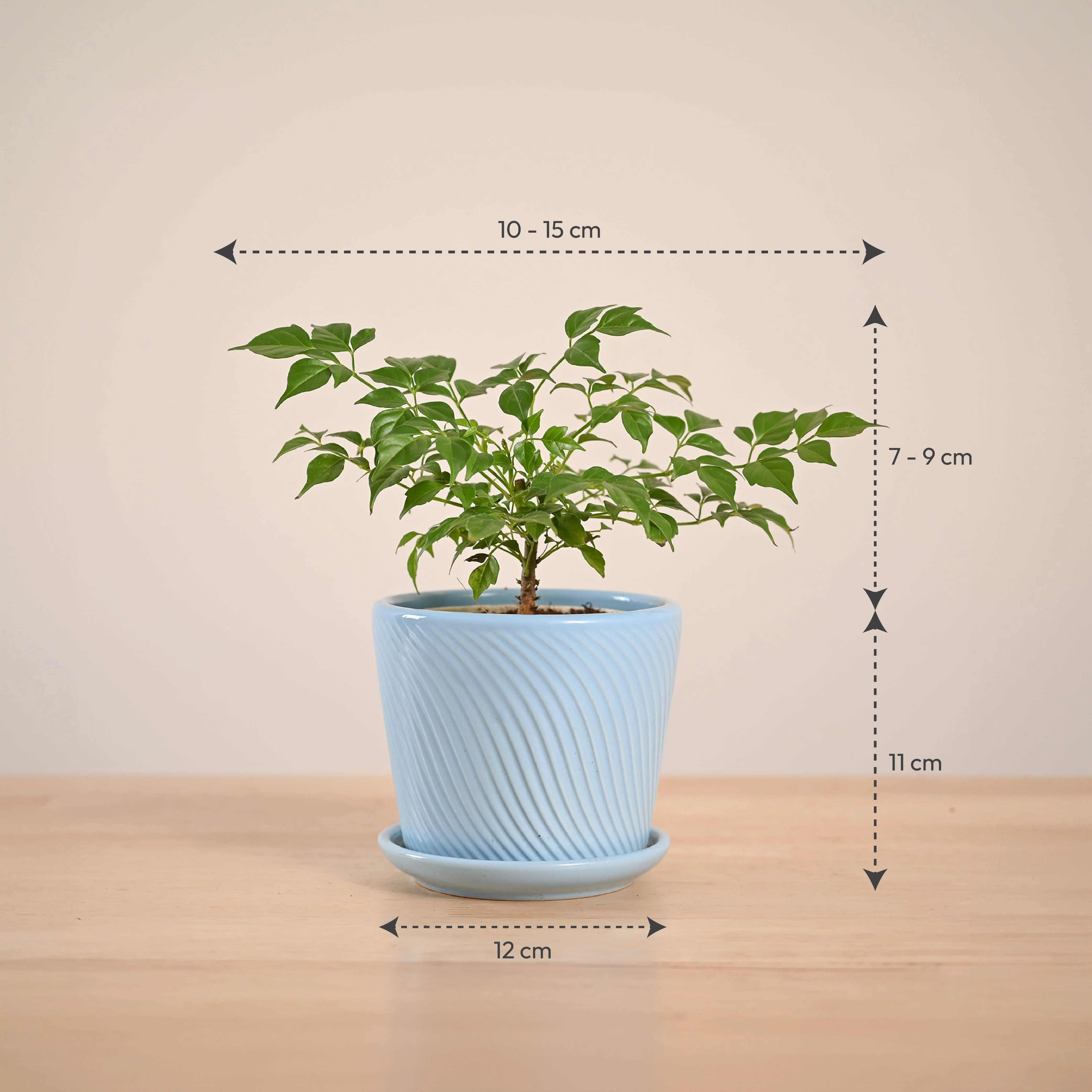 Product image 70