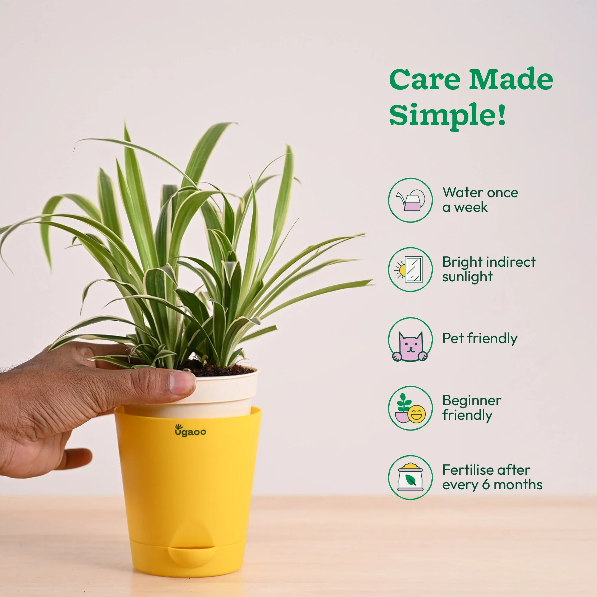 Product image 101
