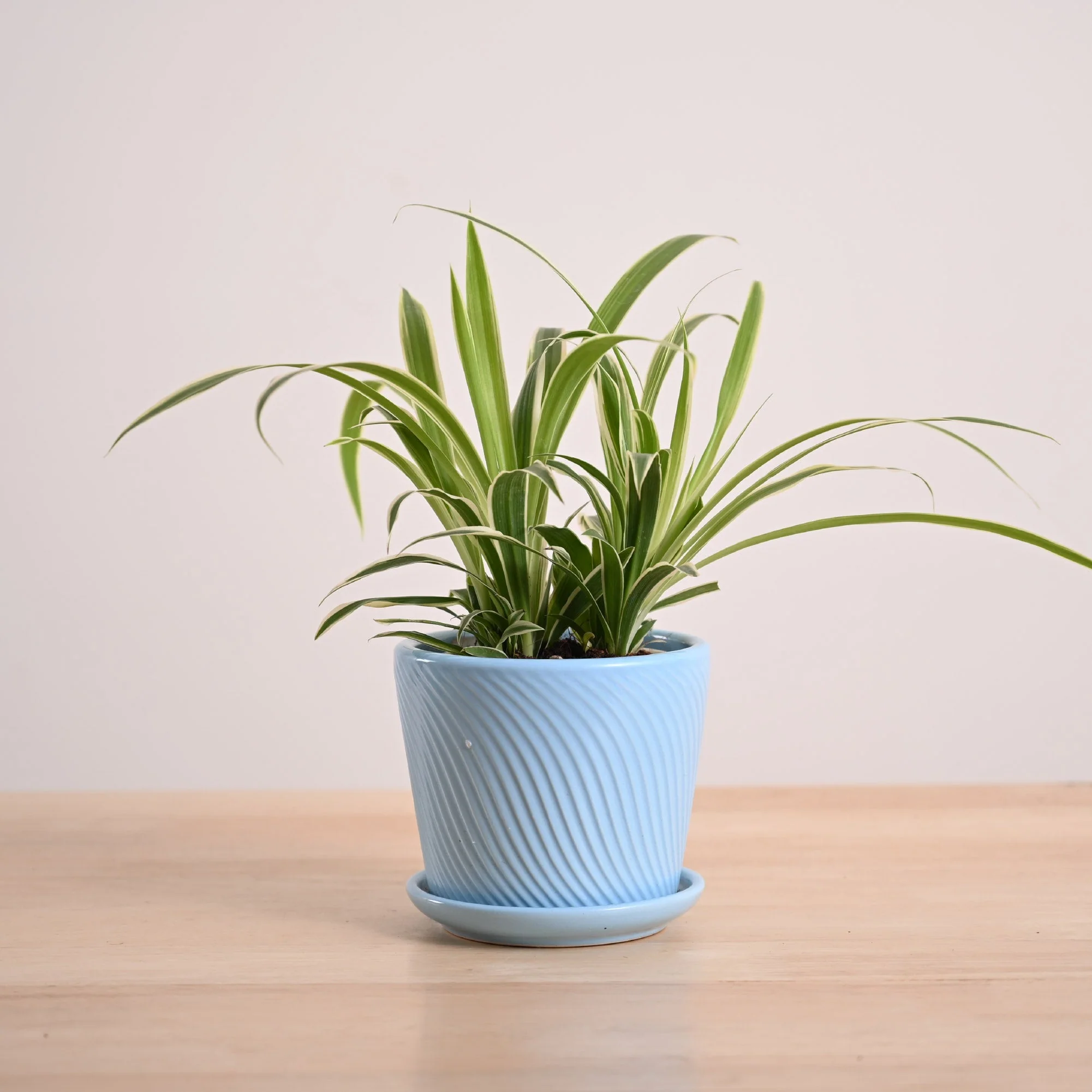 Product image 147