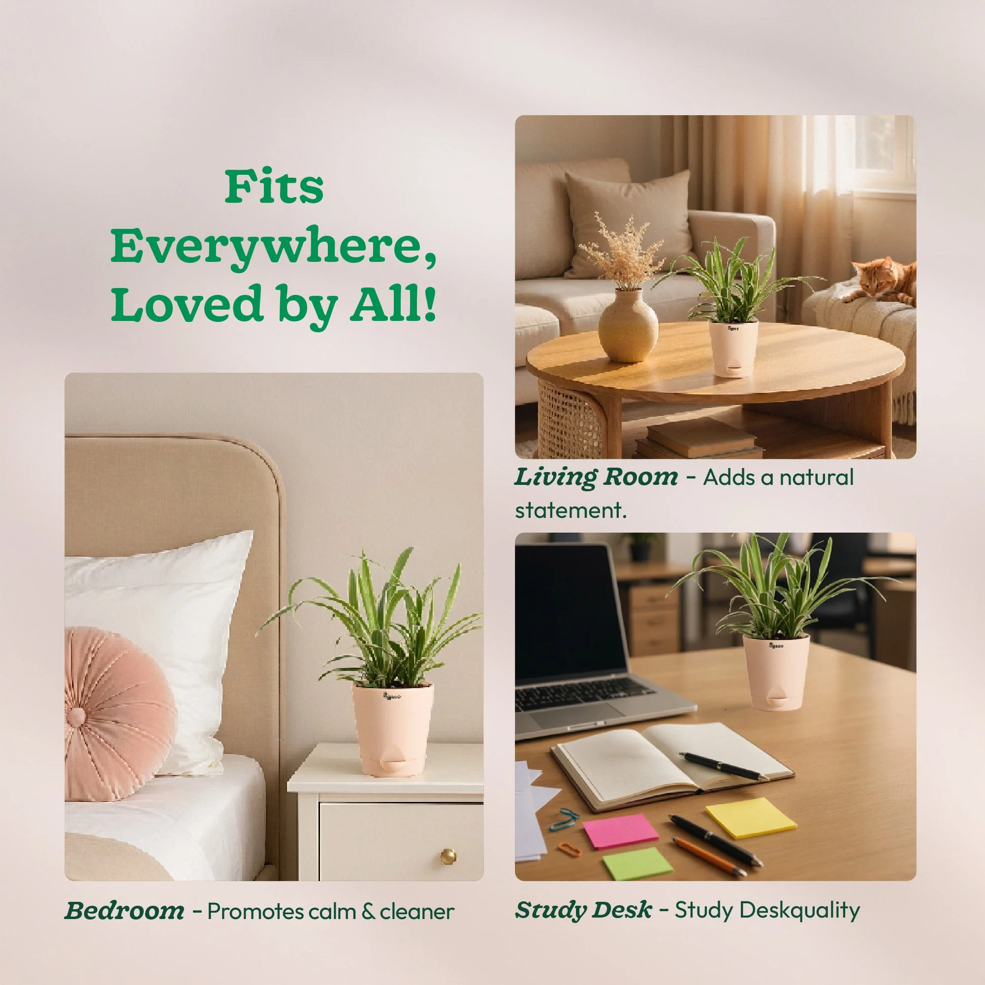 Product image 165