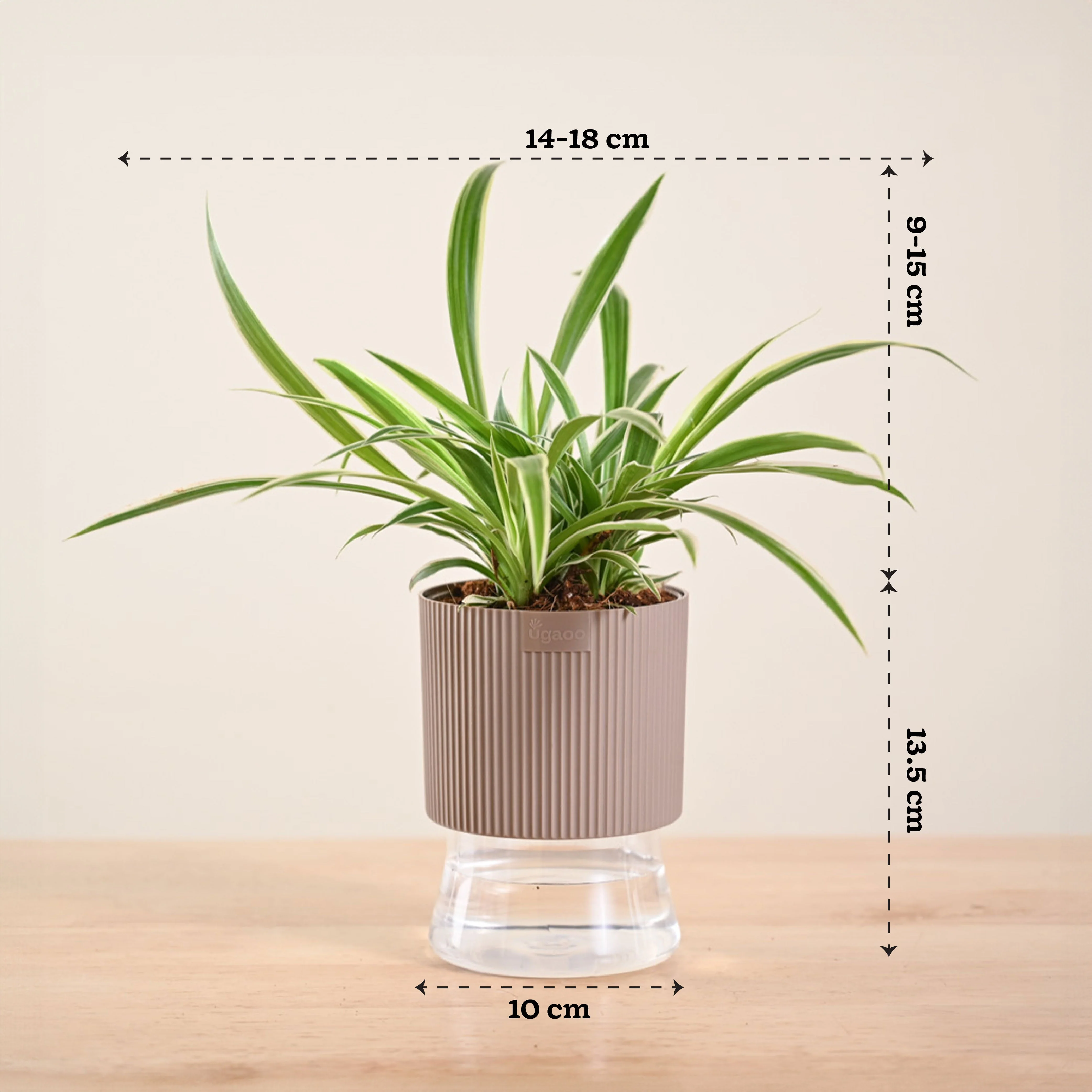 Product image 218