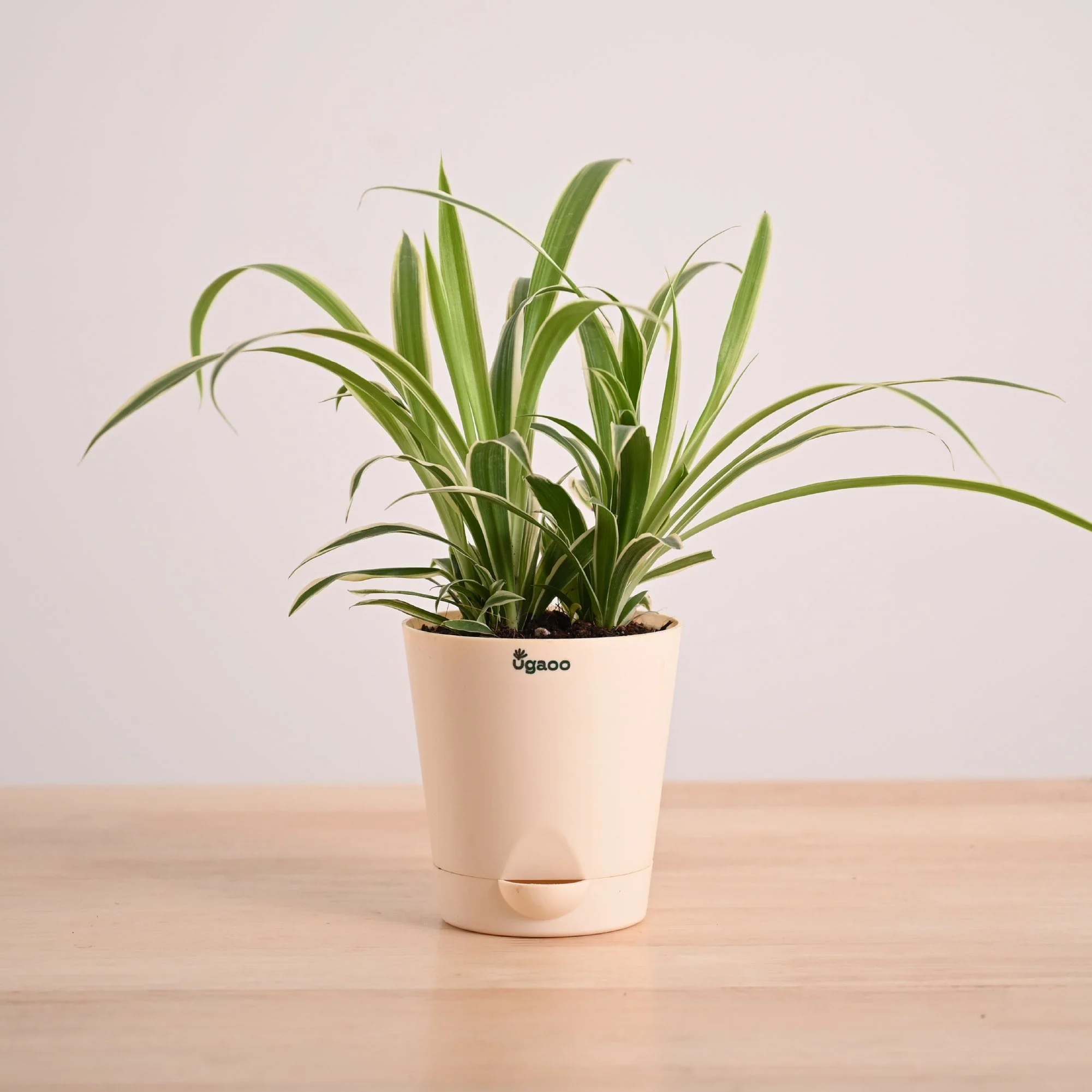 Product image 69