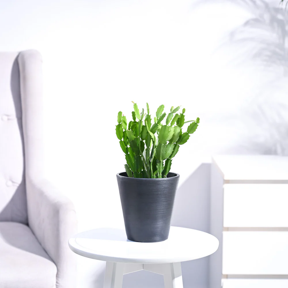 Product image 127