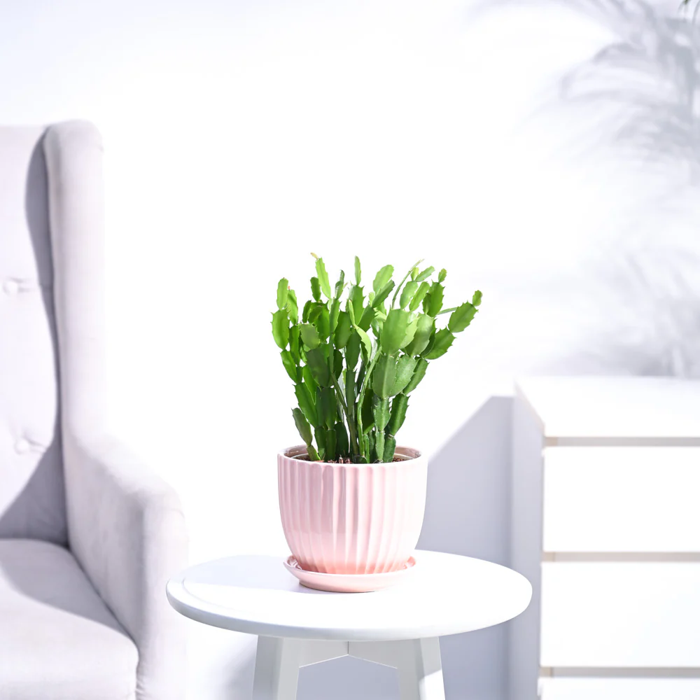 Product image 131