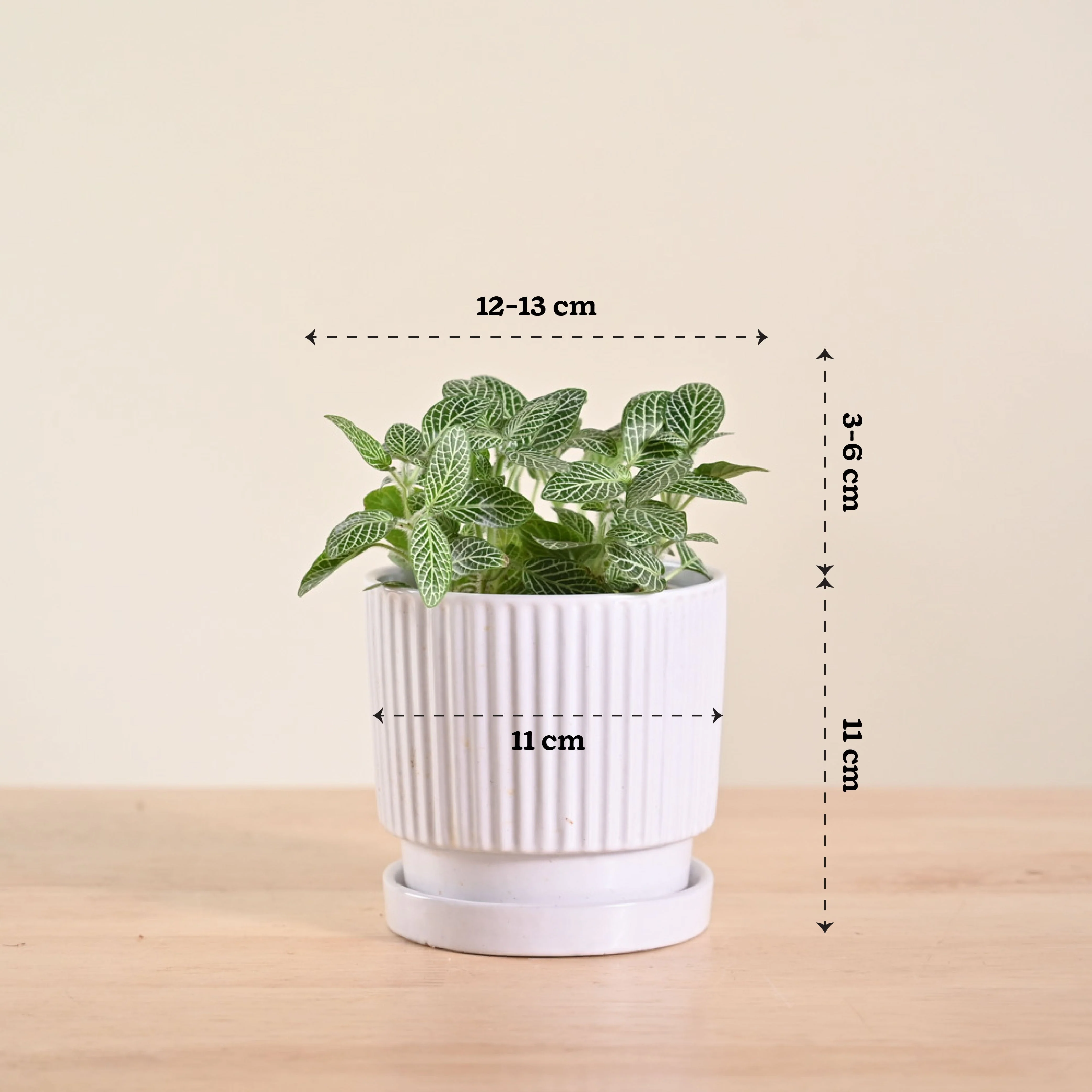 Product image 109