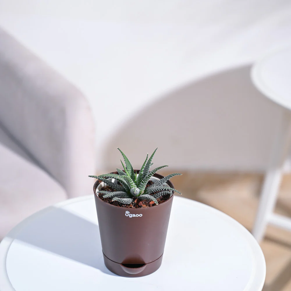 Product image 90