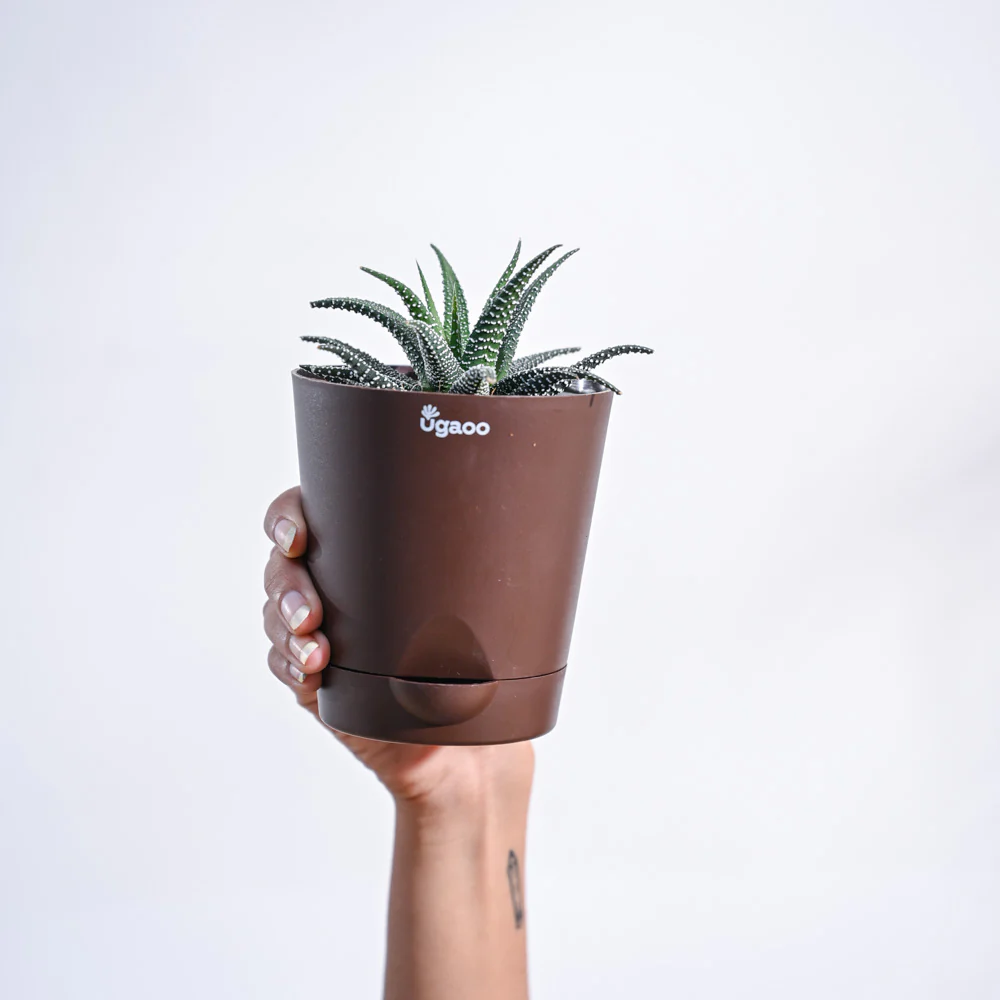 Product image 96