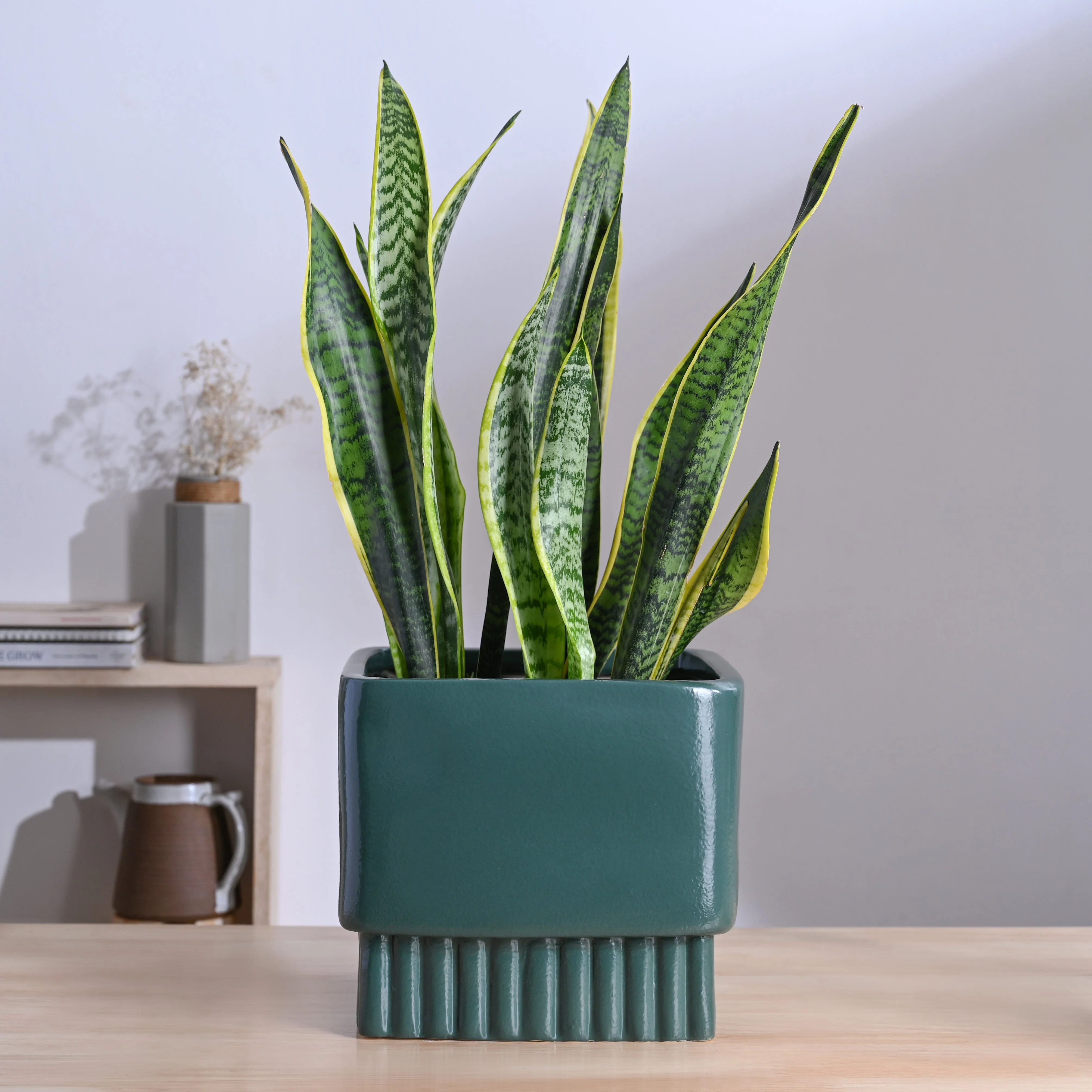 Product image 41