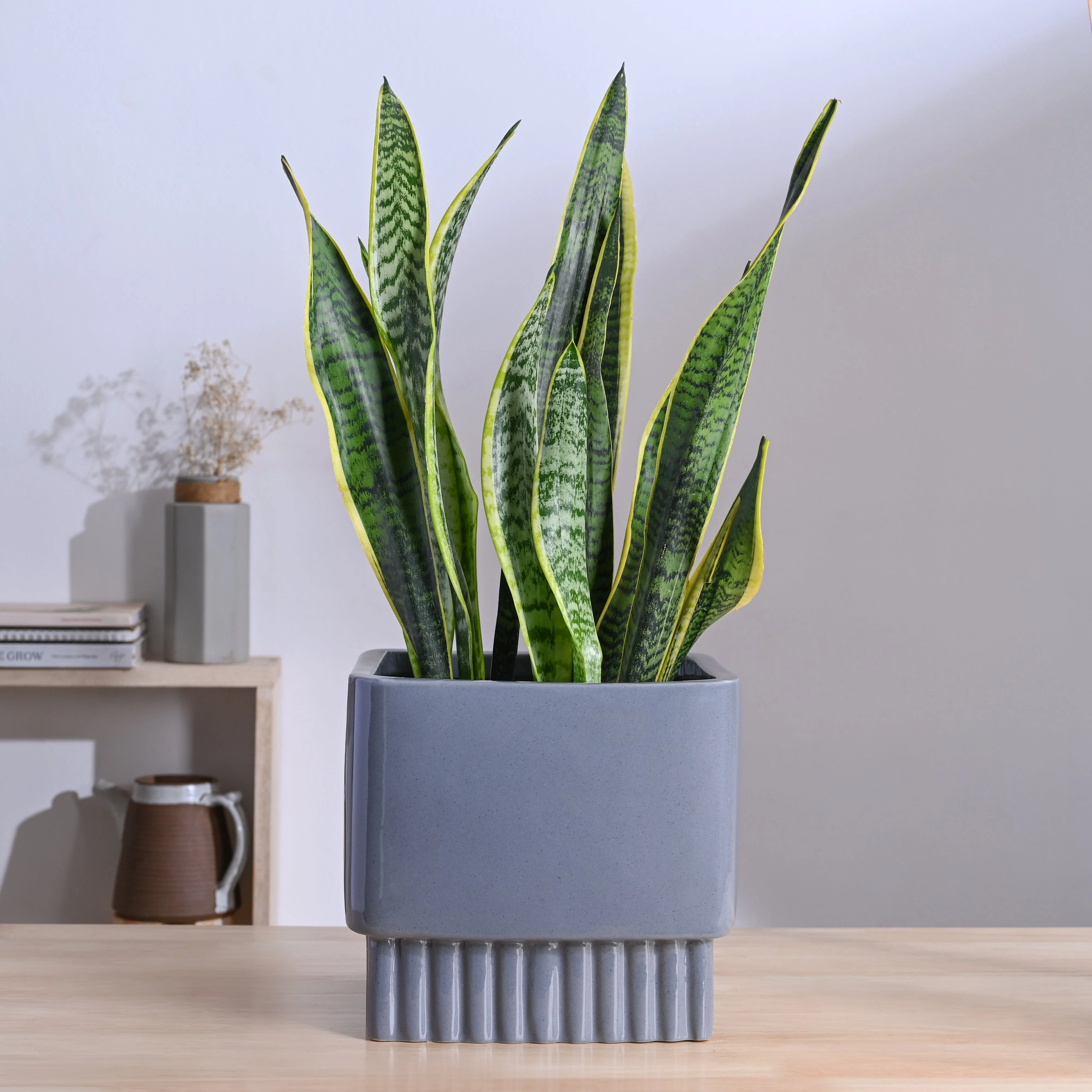 Product image 49