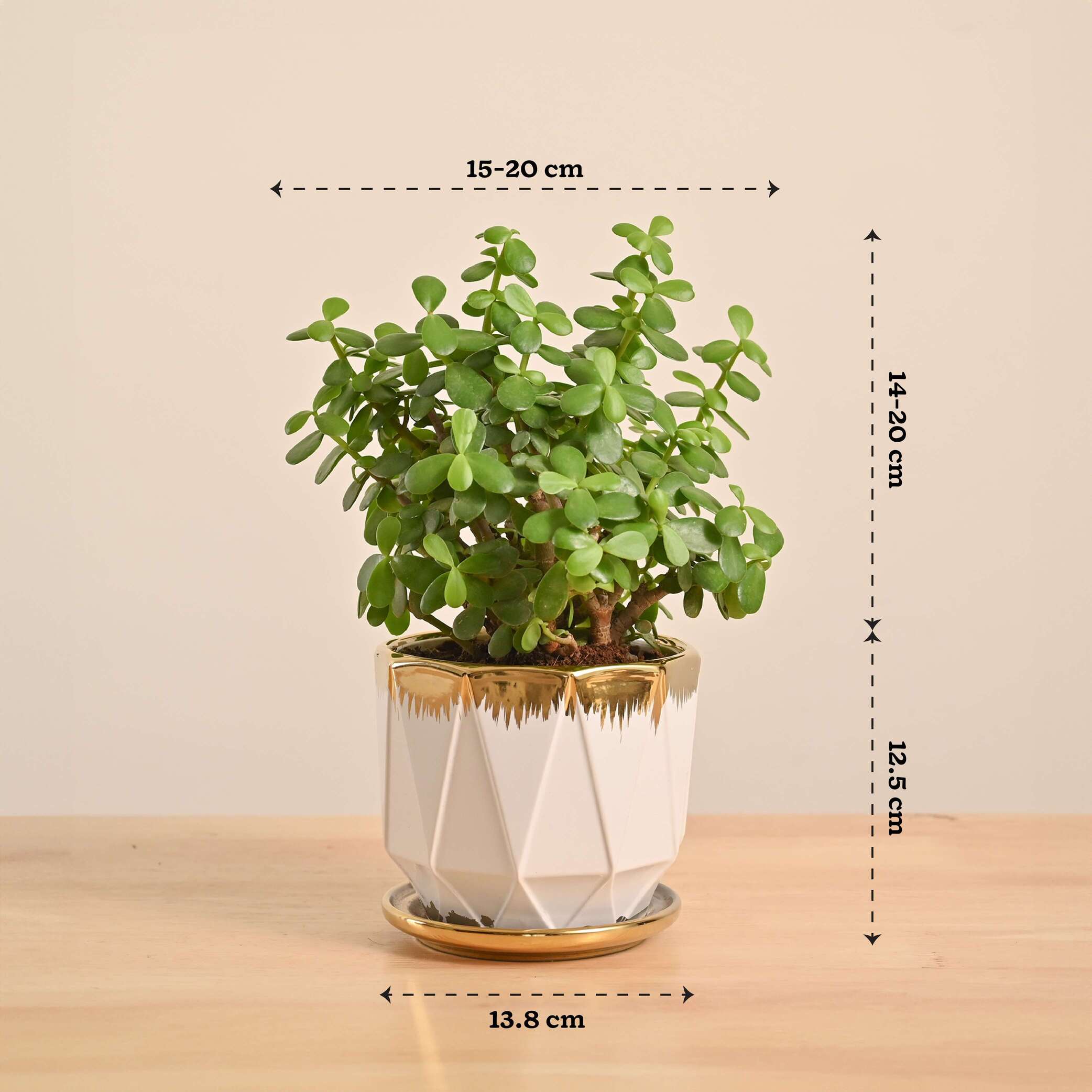 Product image 124