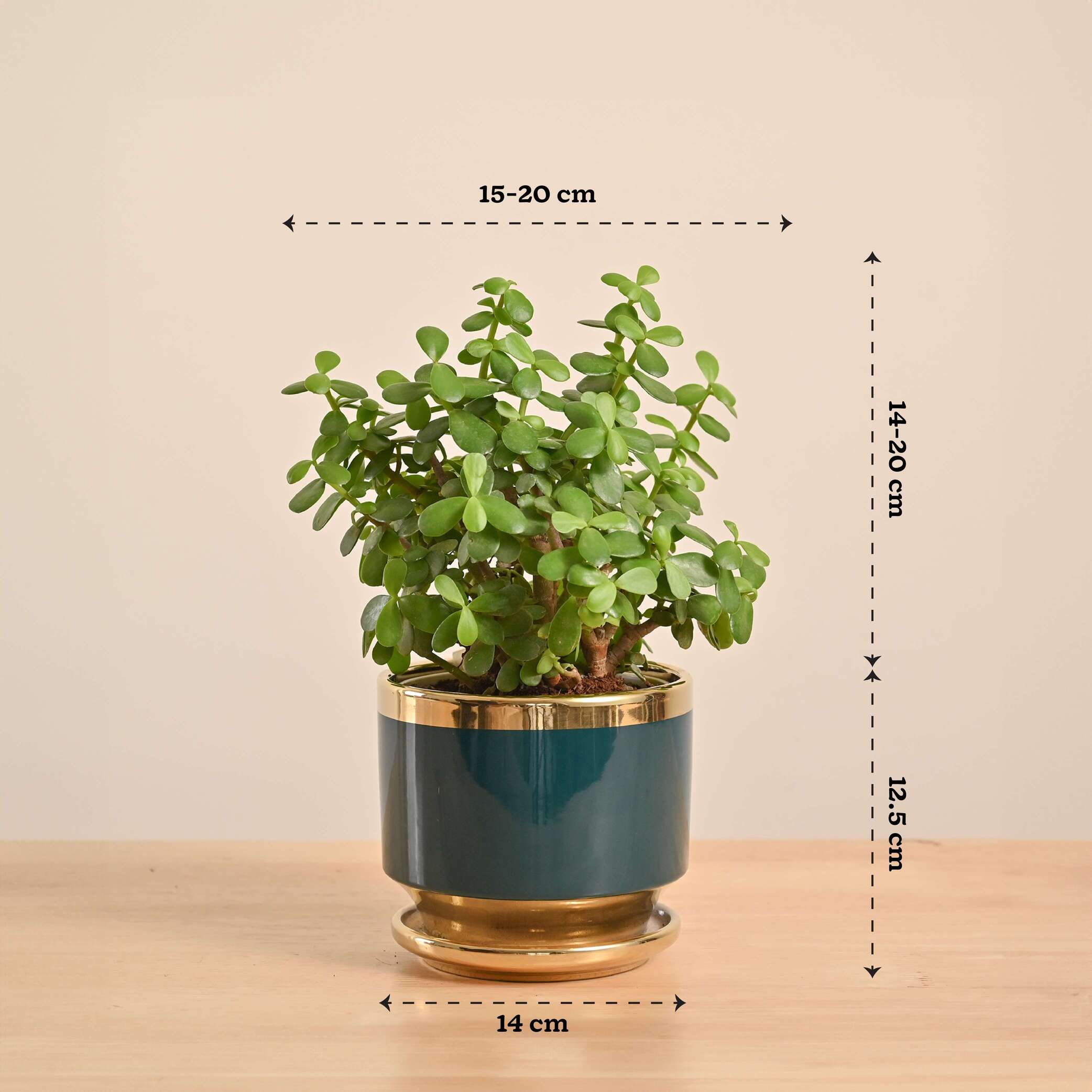 Product image 136