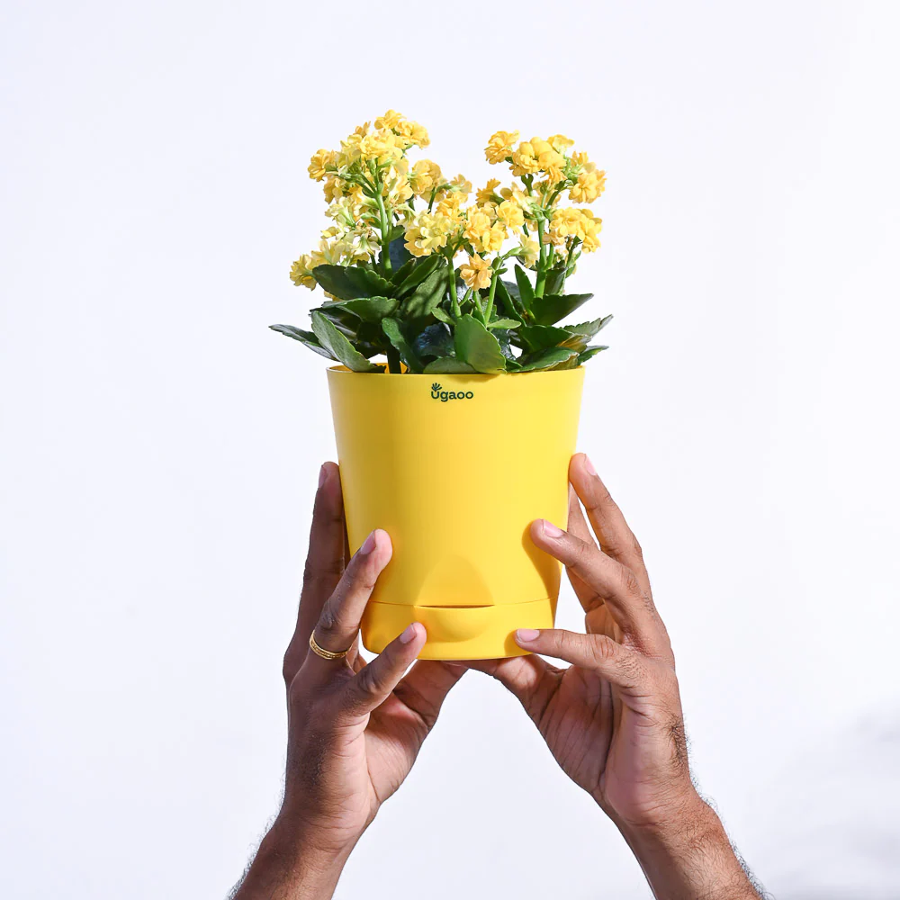 Product image 114