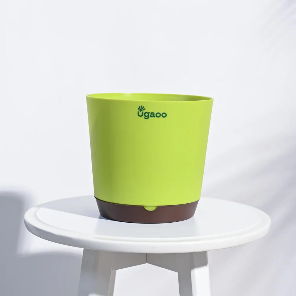 Product image 80