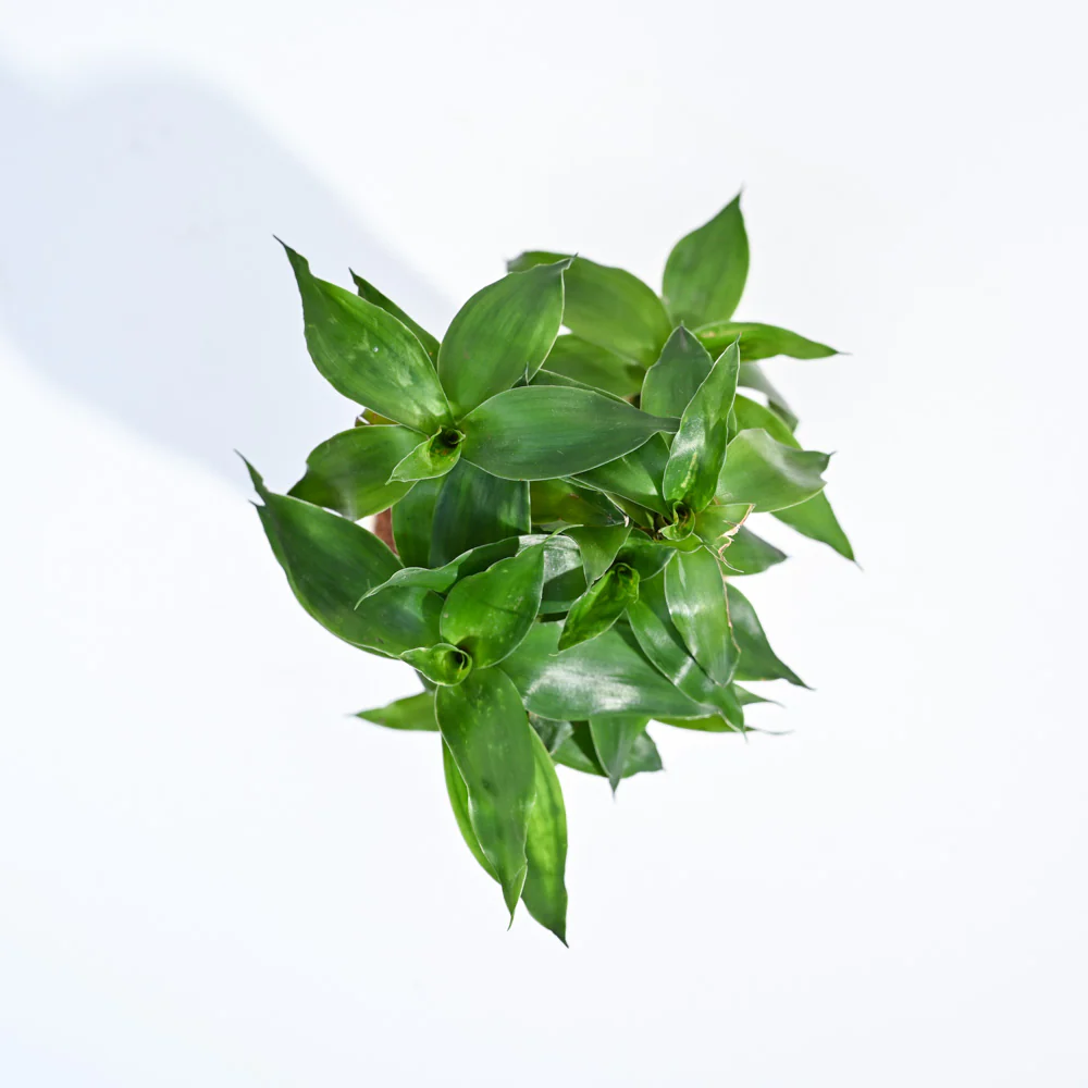 Product image 139